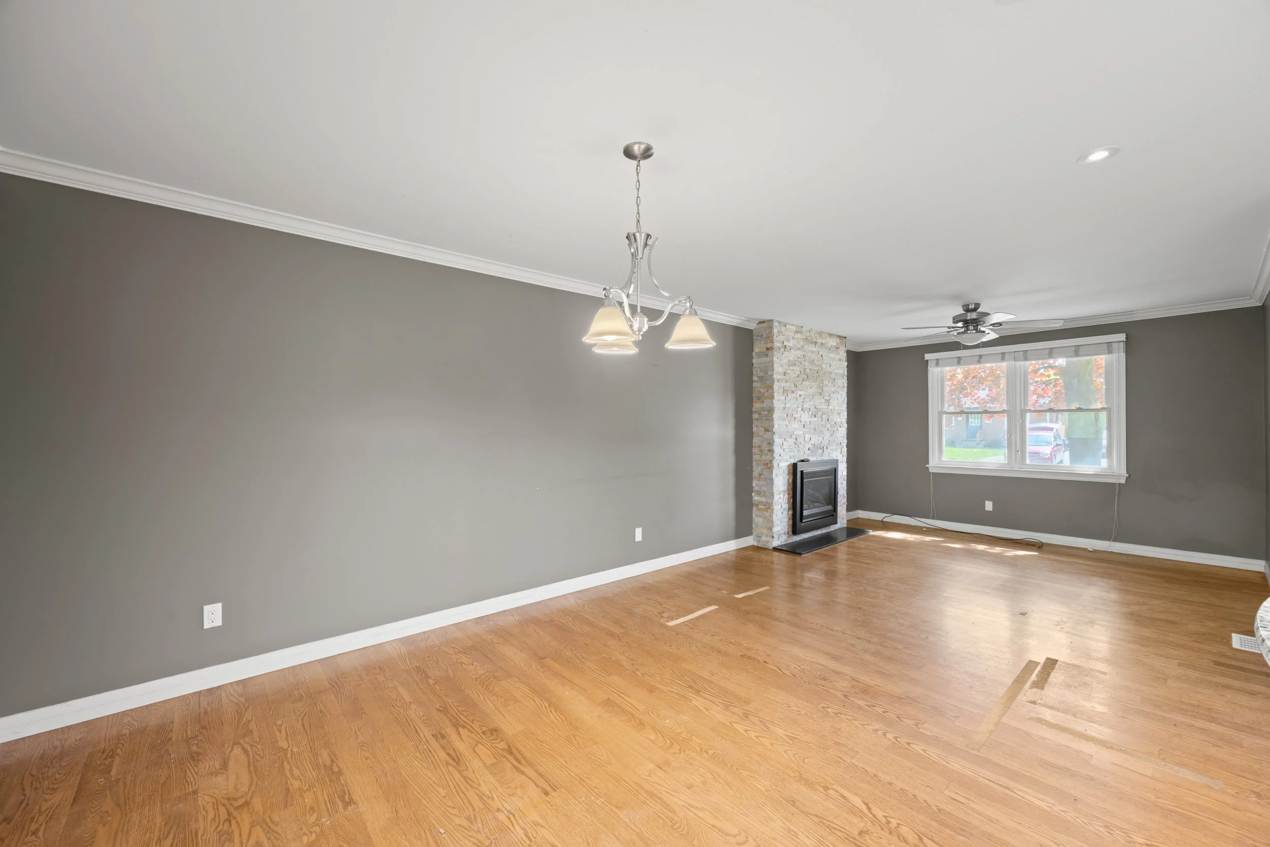 781 Verulam St-15.jpg