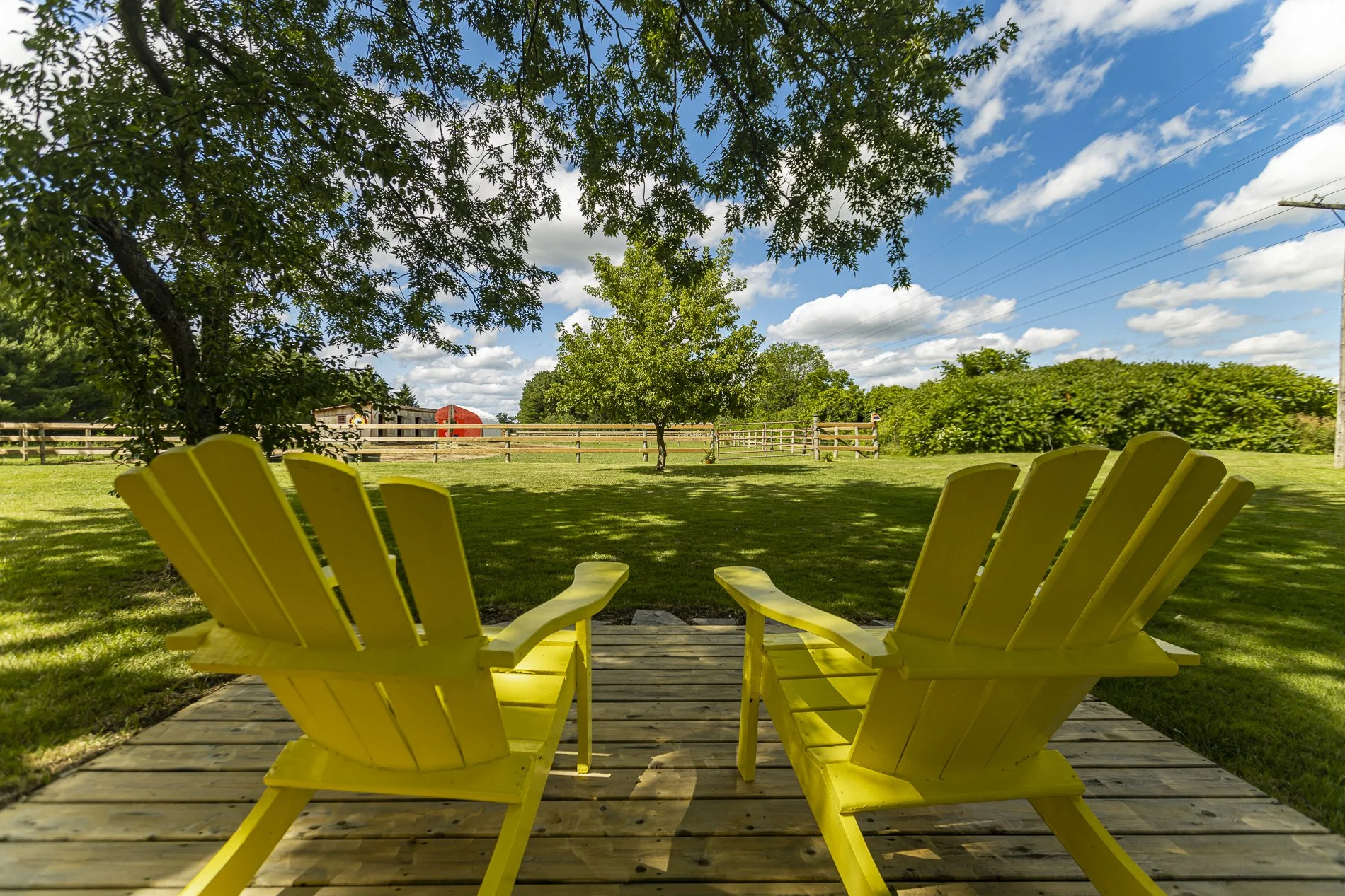 42508 Truman Line_45.jpg