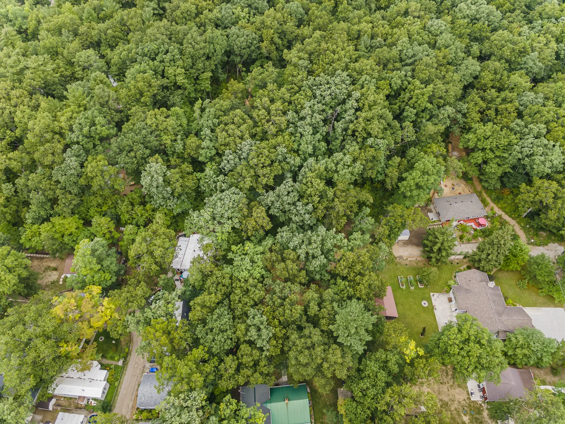 9962 Northville Cres_24.jpg