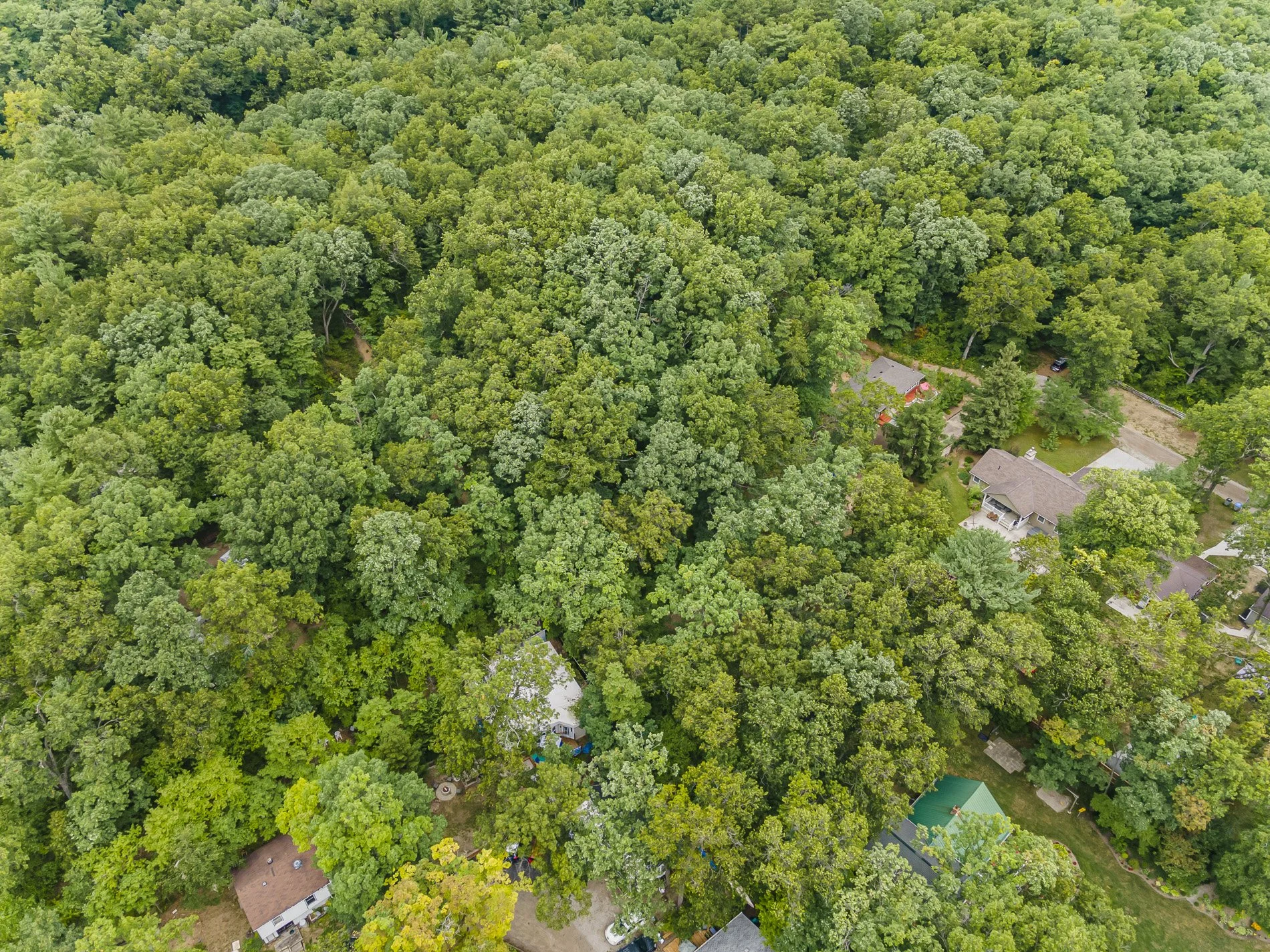9962 Northville Cres_25.jpg