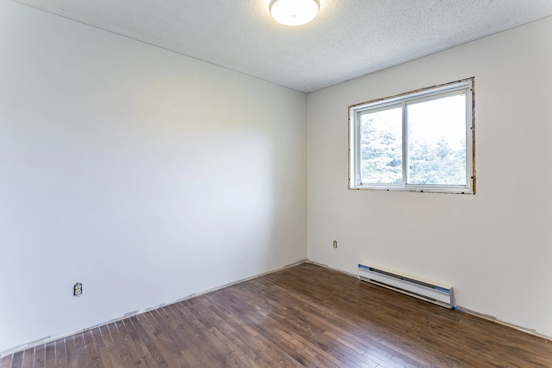 324097 Mount Elgin_09.jpg