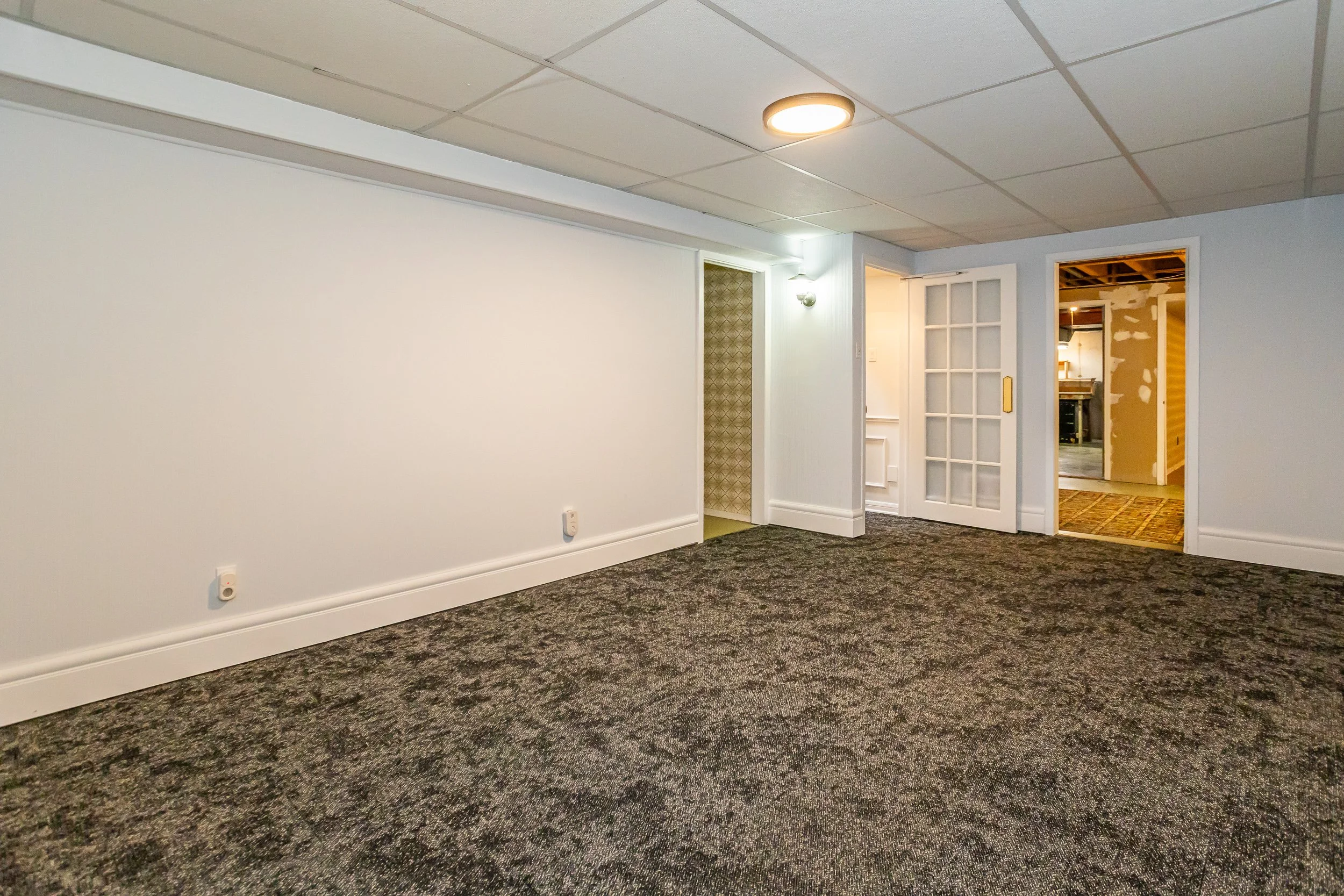 139 Springfield Cres-31.jpg