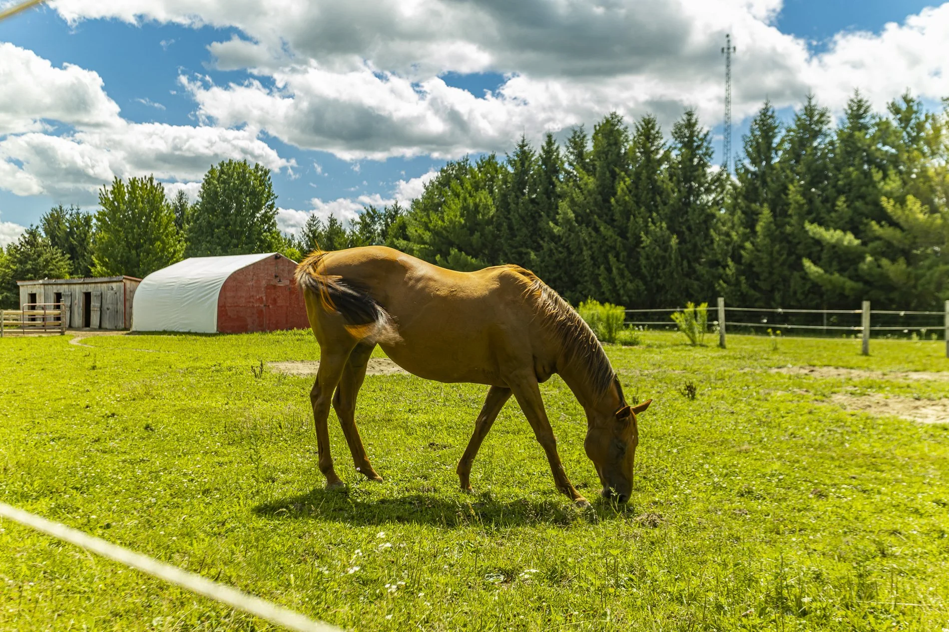 42508 Truman Line_46.jpg