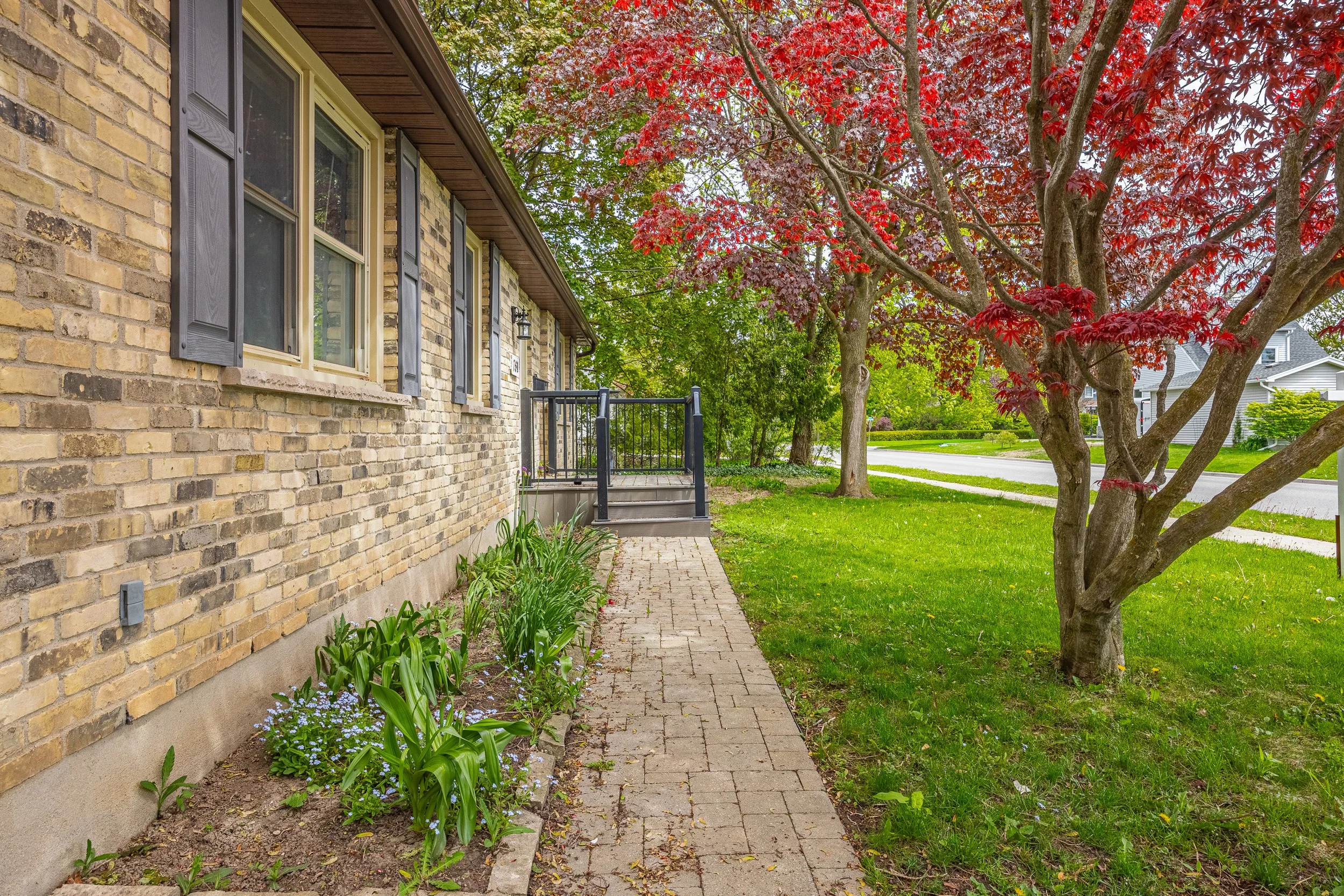 781 Verulam St-6.jpg