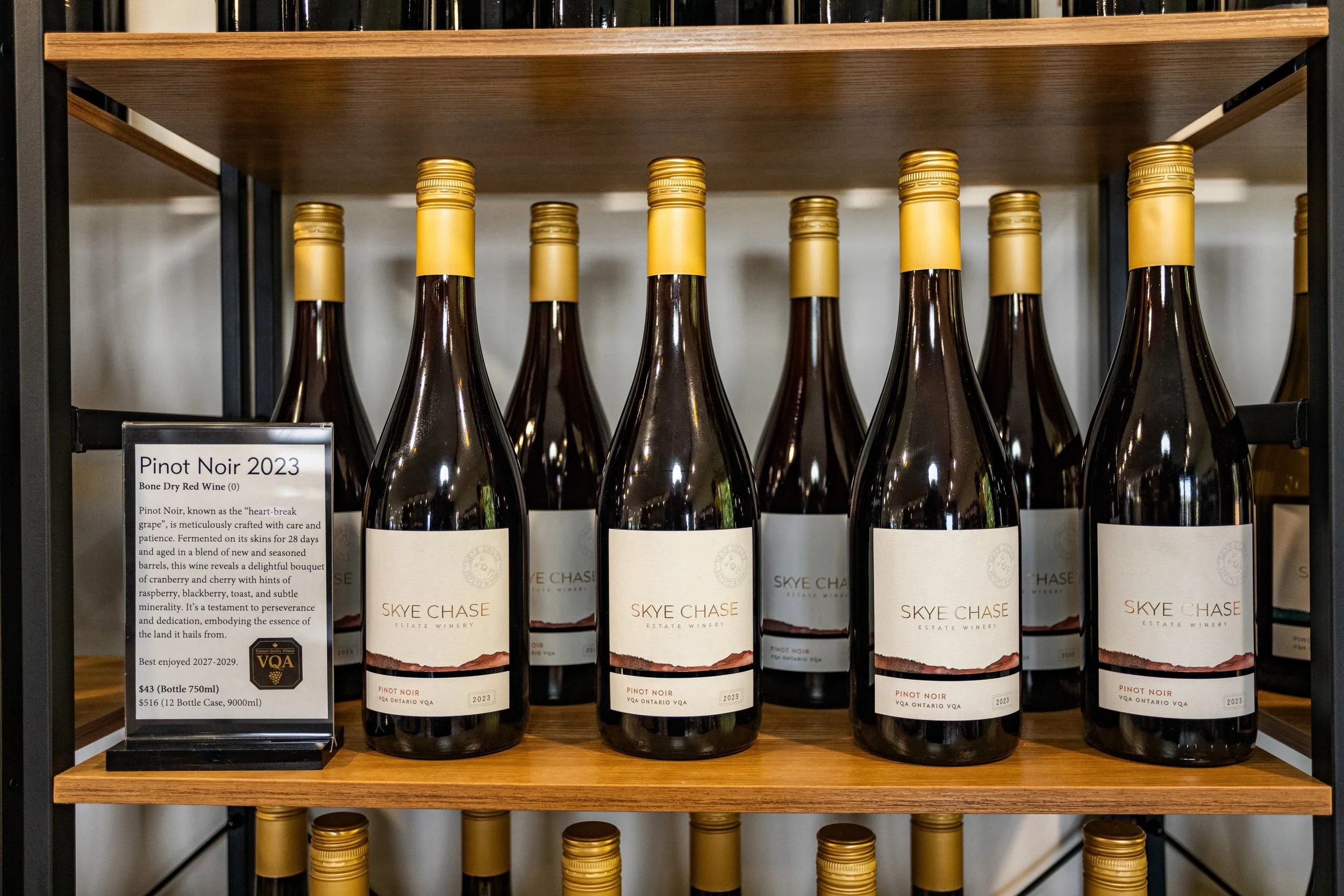 Sky Chase Remodel (after) - 20.JPG