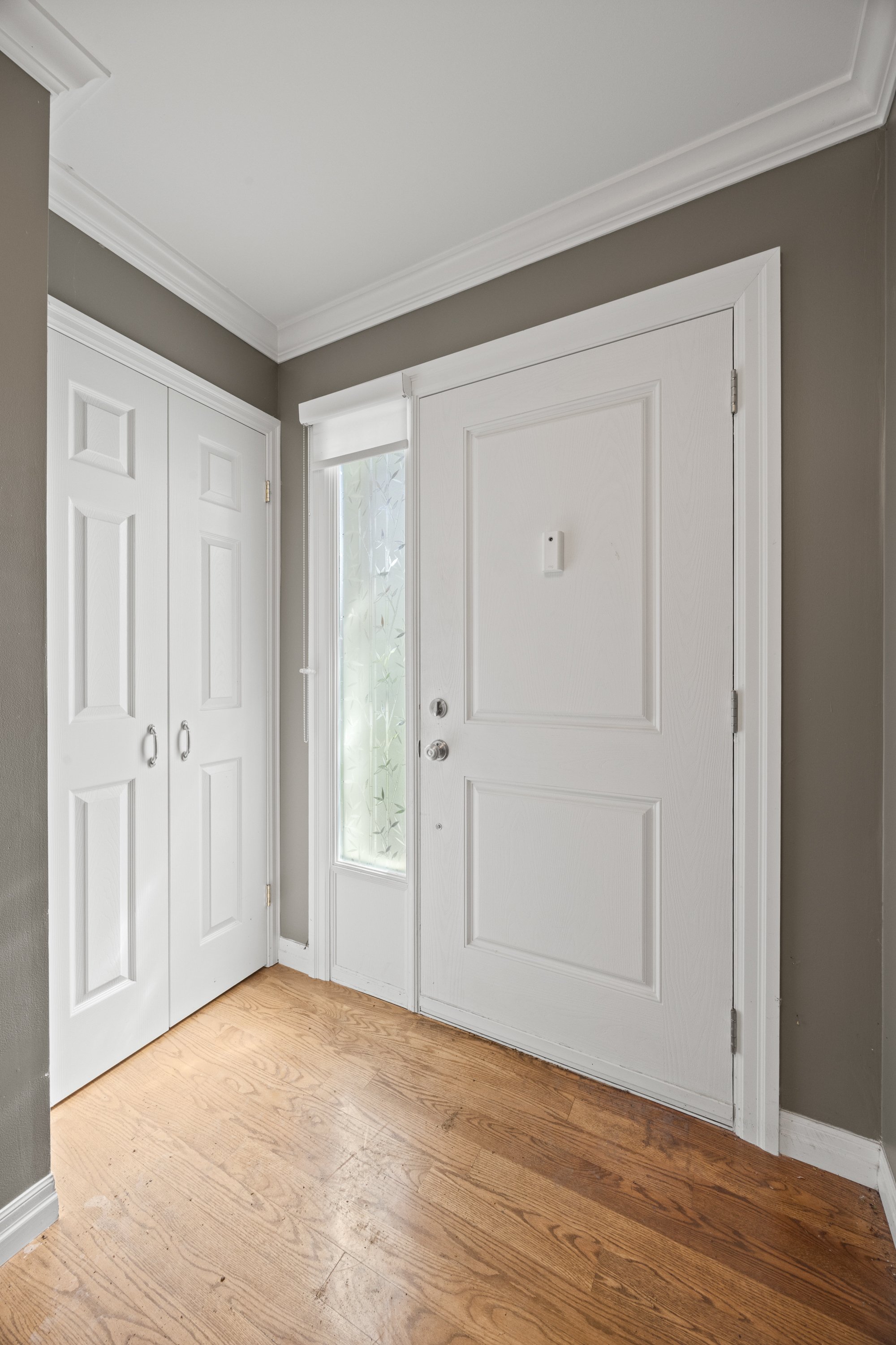 781 Verulam St-9.jpg