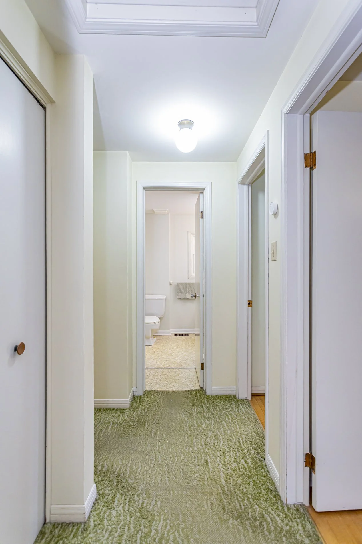 16 Cumberland Cres_21.jpg