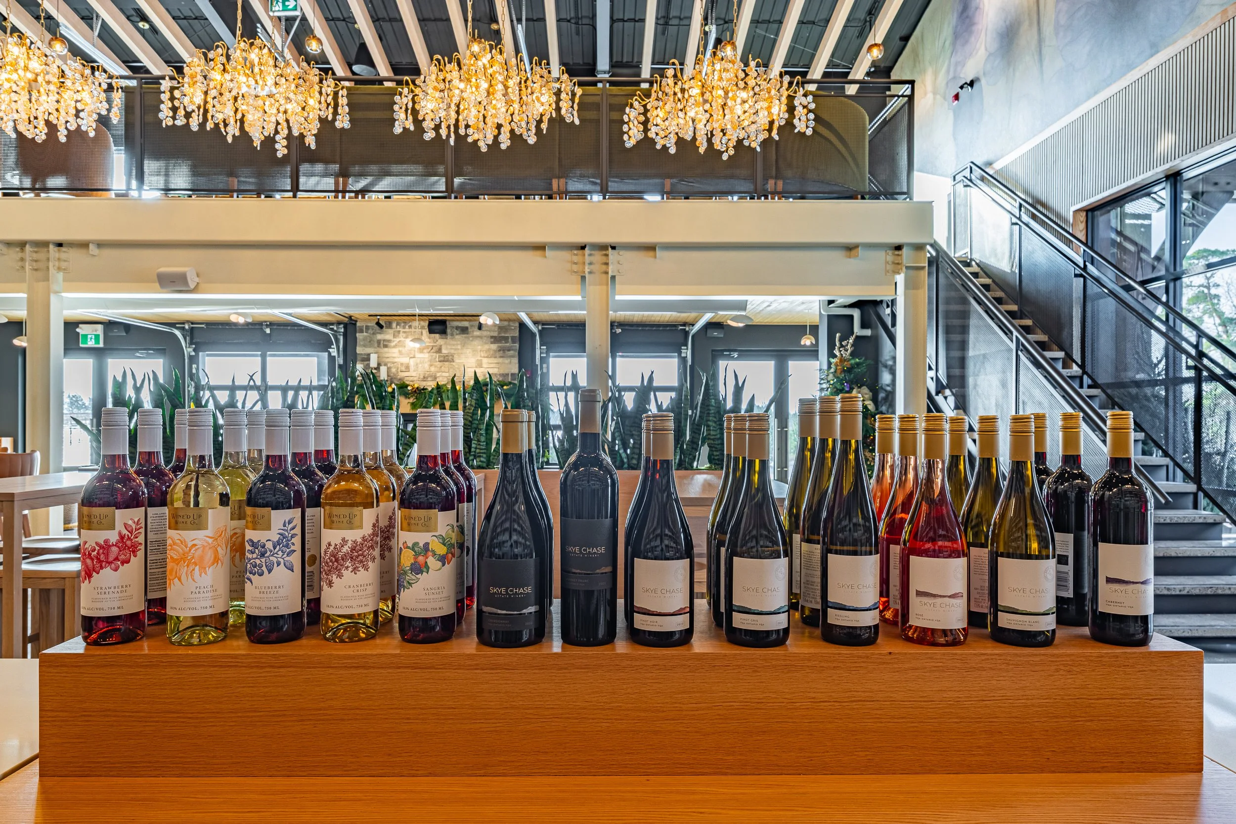 LR - Sky Chase Production Day 12.17.25-7.jpg