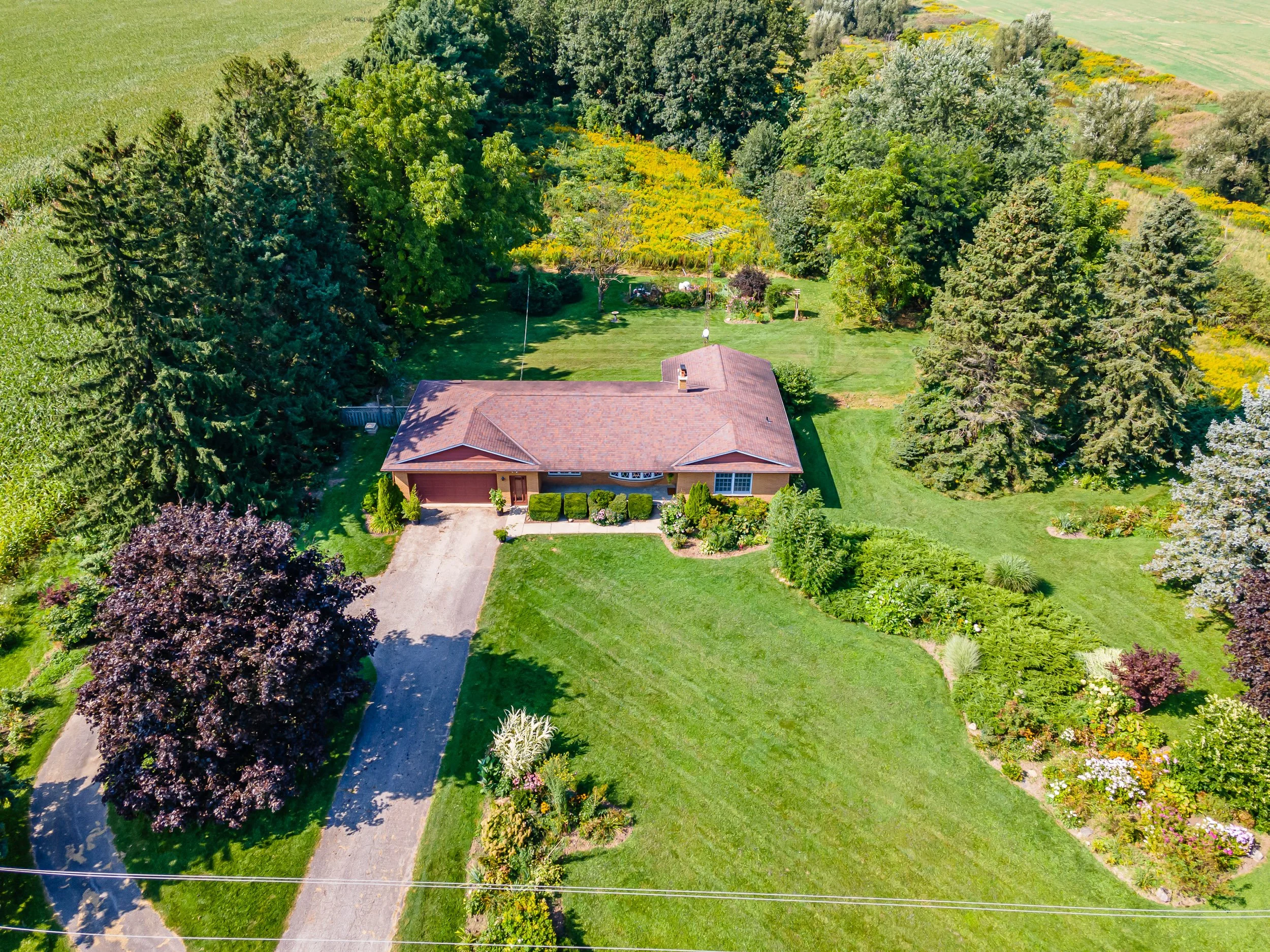 17988 Thorndale Rd-43.jpg