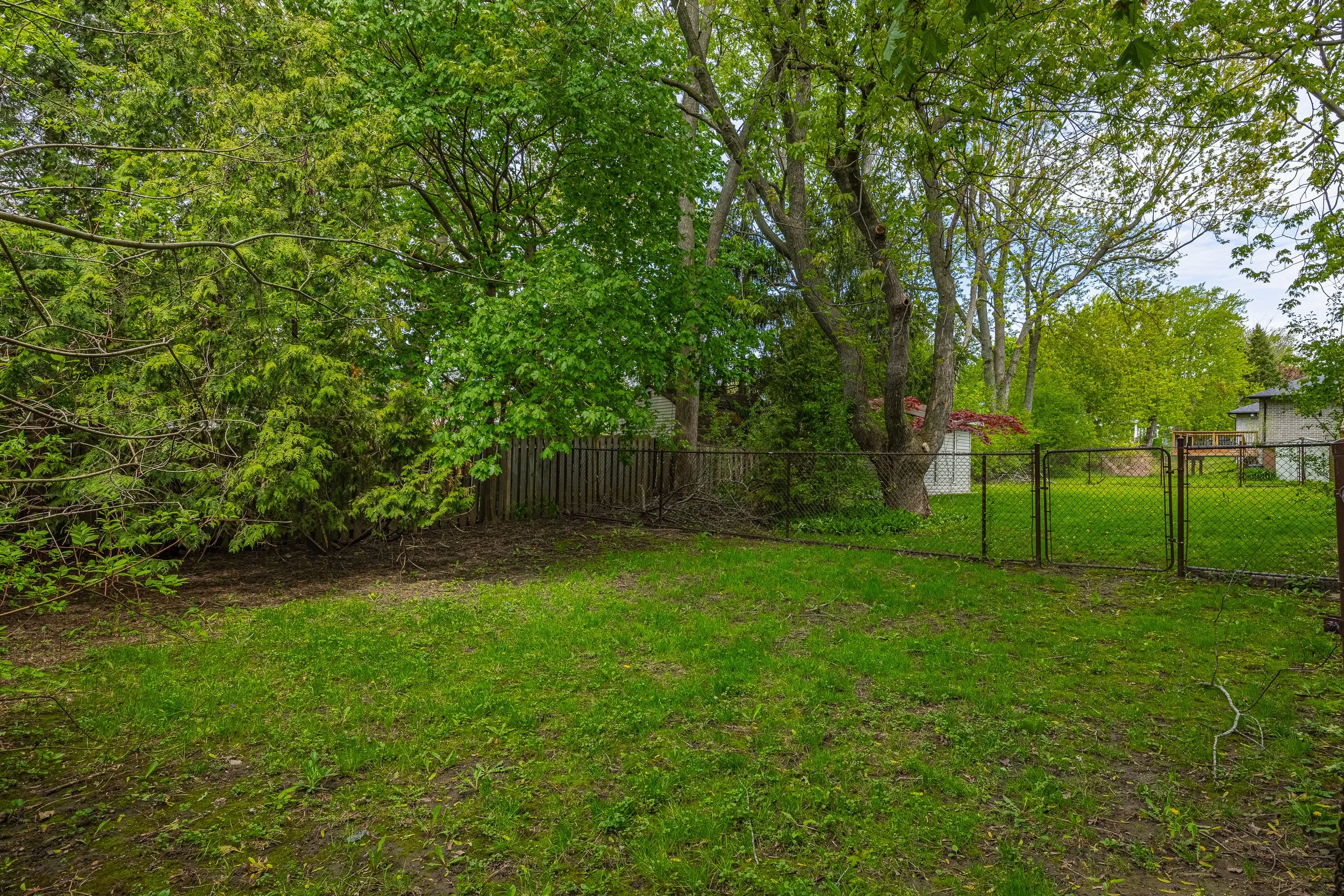 781 Verulam St-52.jpg