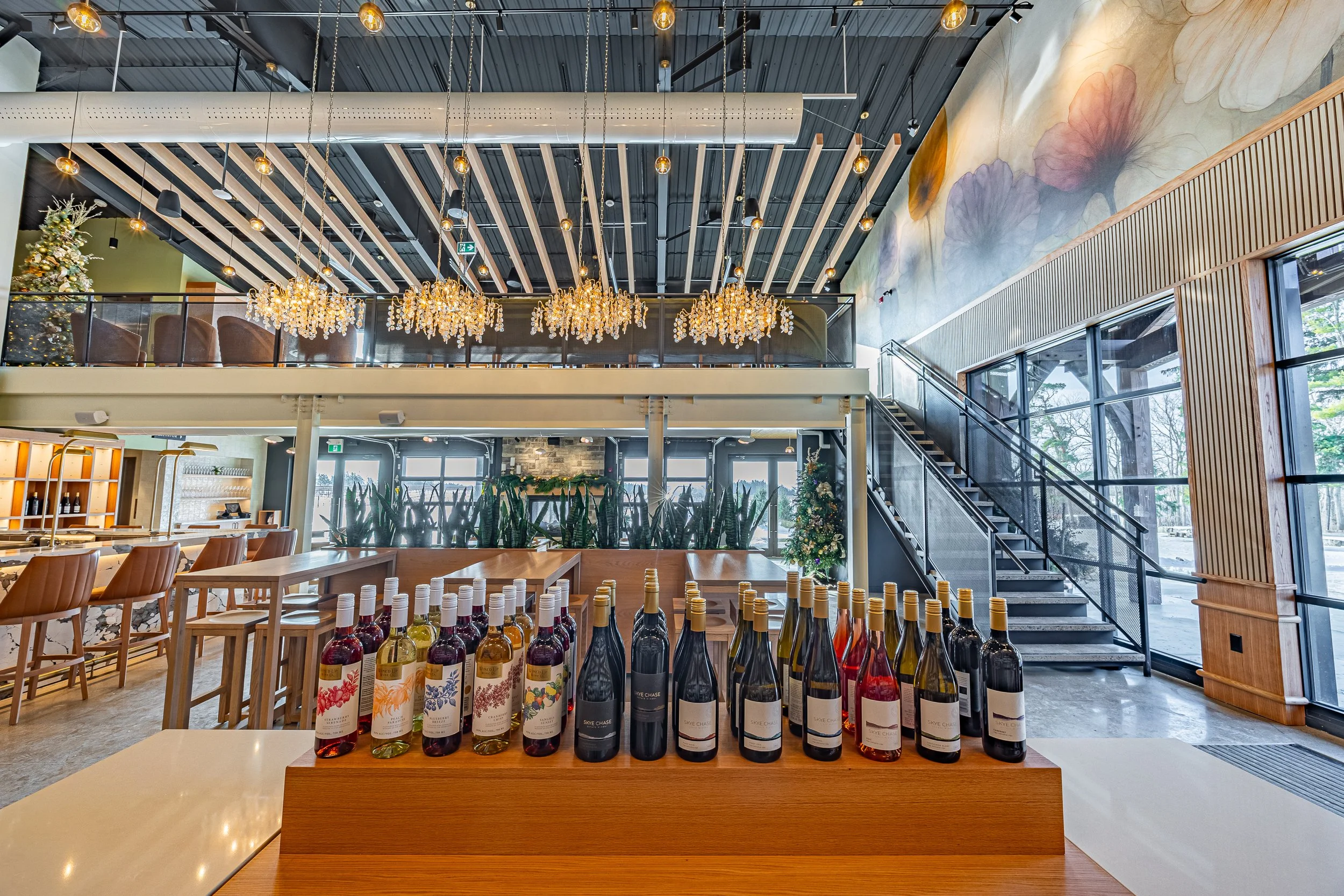 LR - Sky Chase Production Day 12.17.25-8.jpg