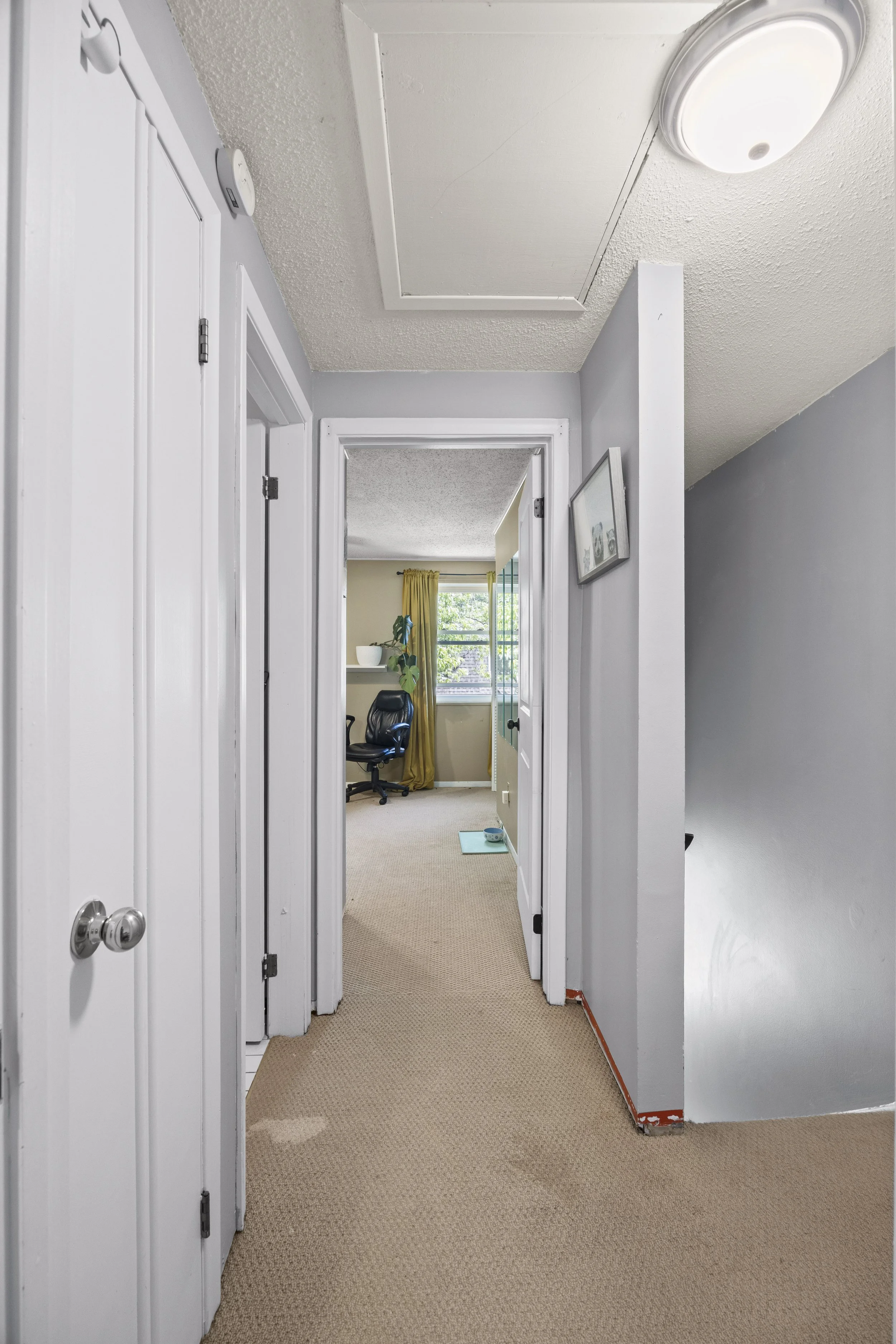 453 Wilkins St -20.JPG