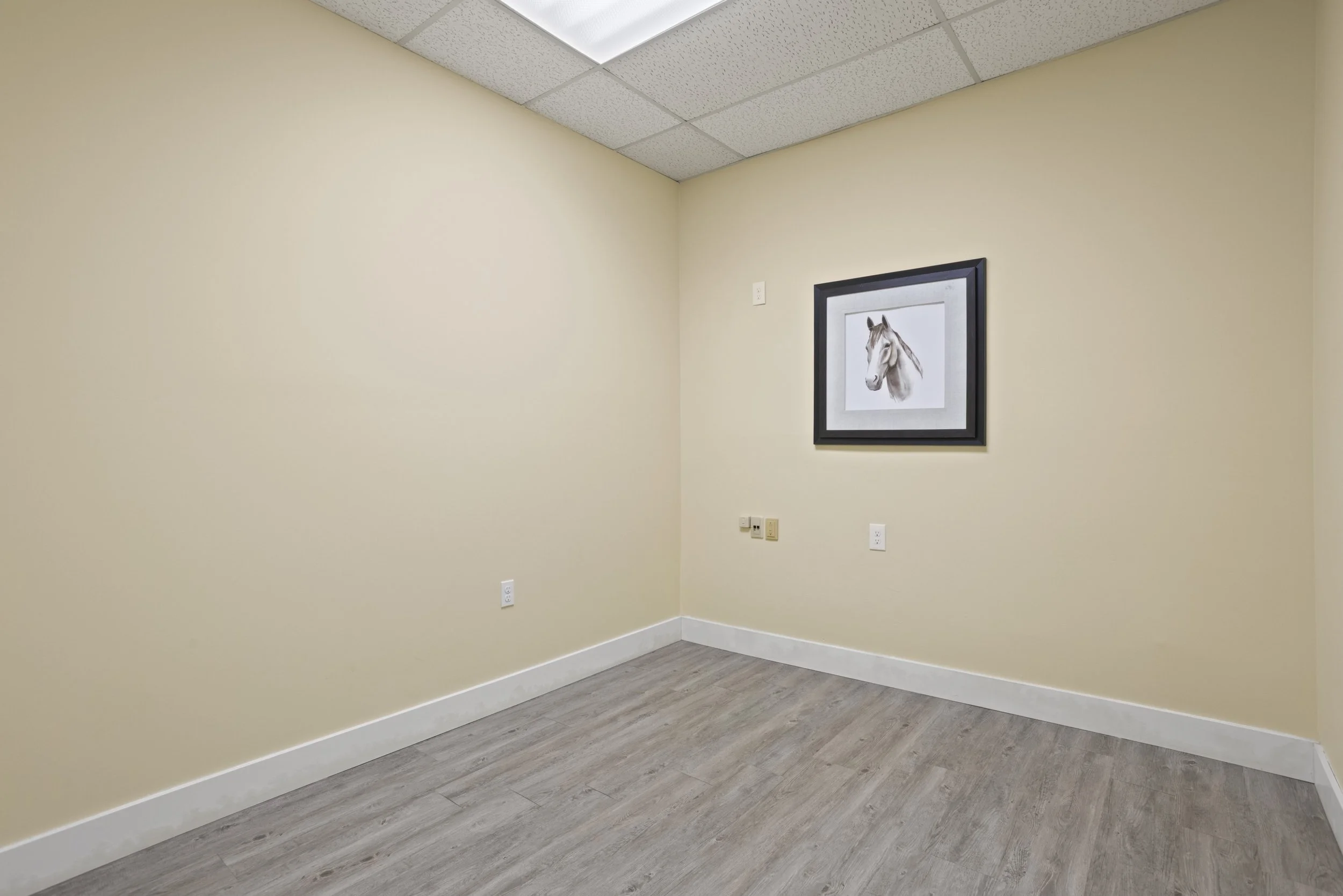 315 Warrencliffe Rd -10.jpg