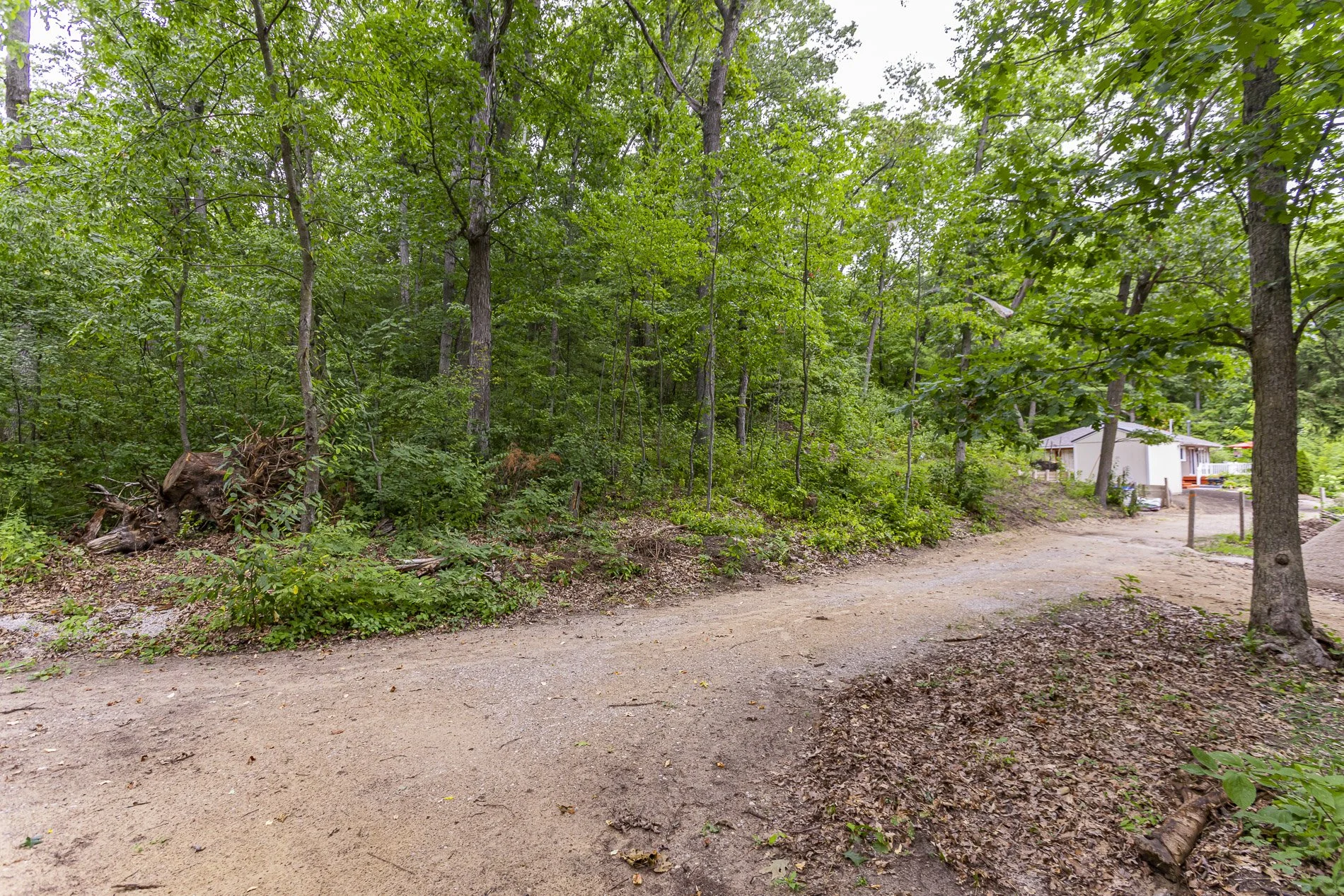 9962 Northville Cres_15.jpg
