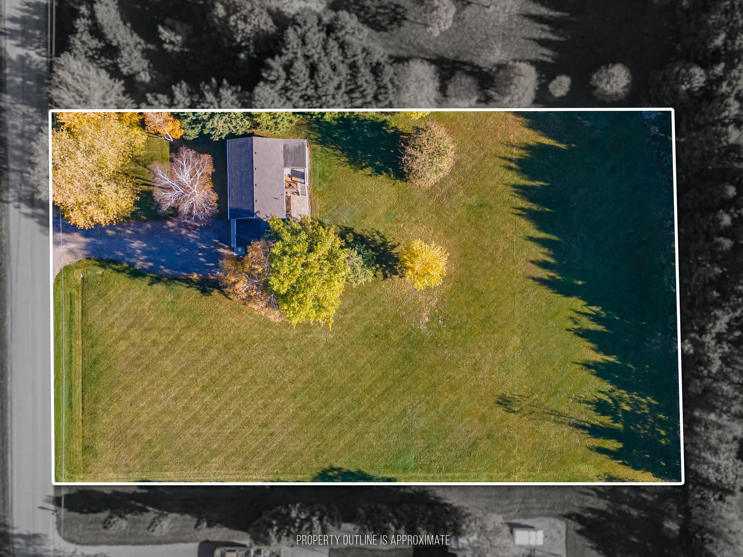 70986 B Line -52.jpg