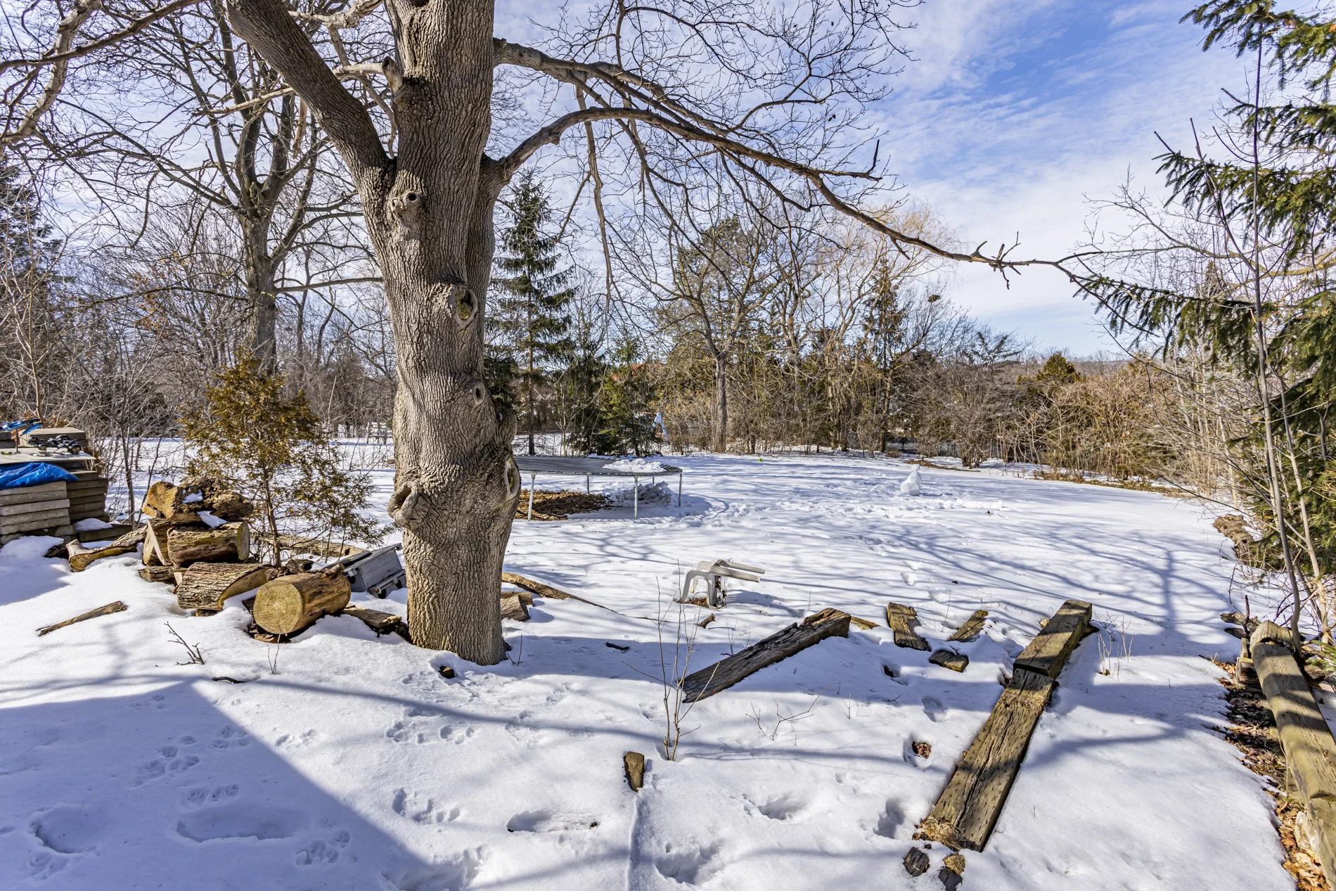 545 Commissioners Rd W_35.JPG