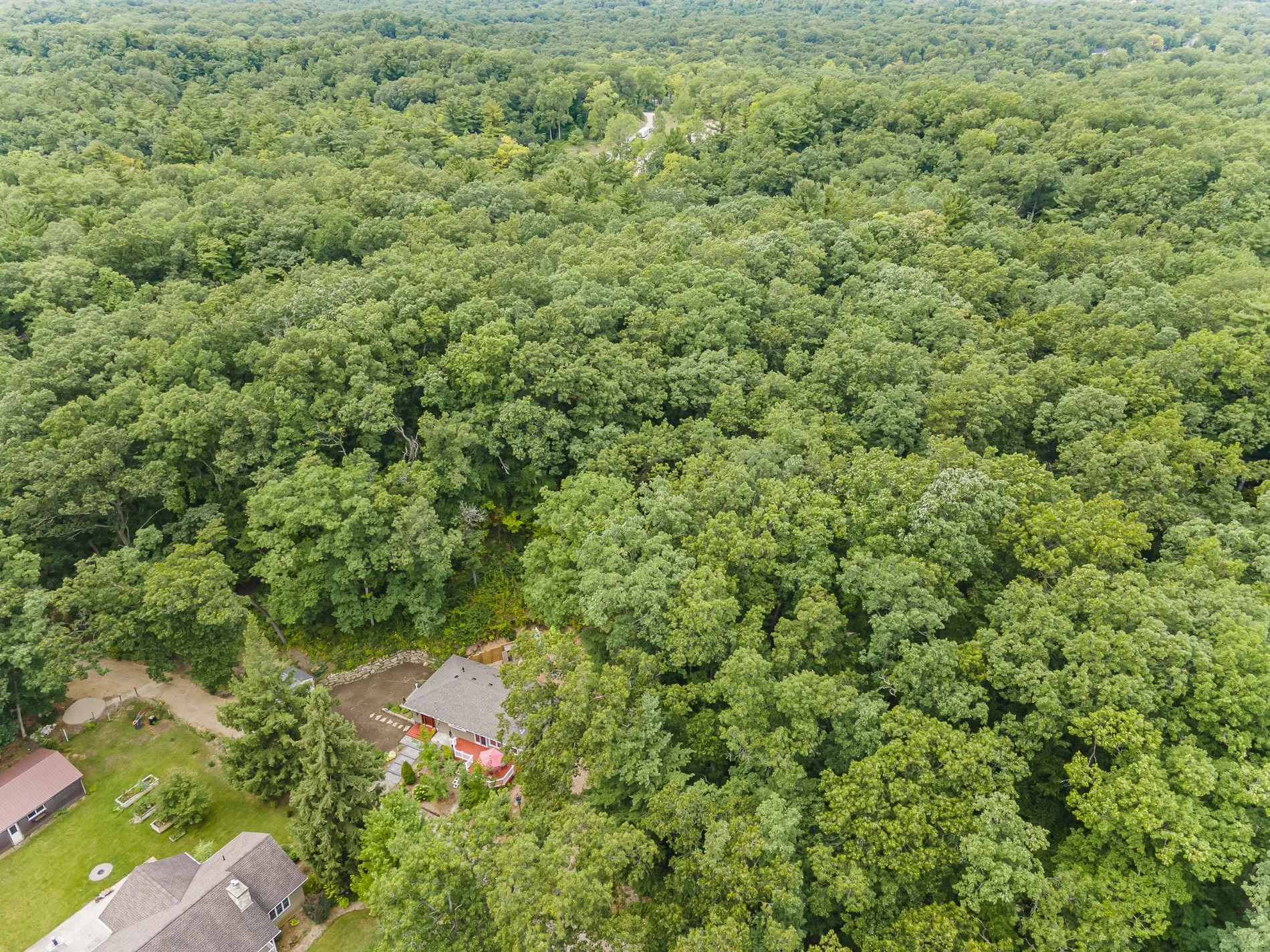 9962 Northville Cres_31.jpg