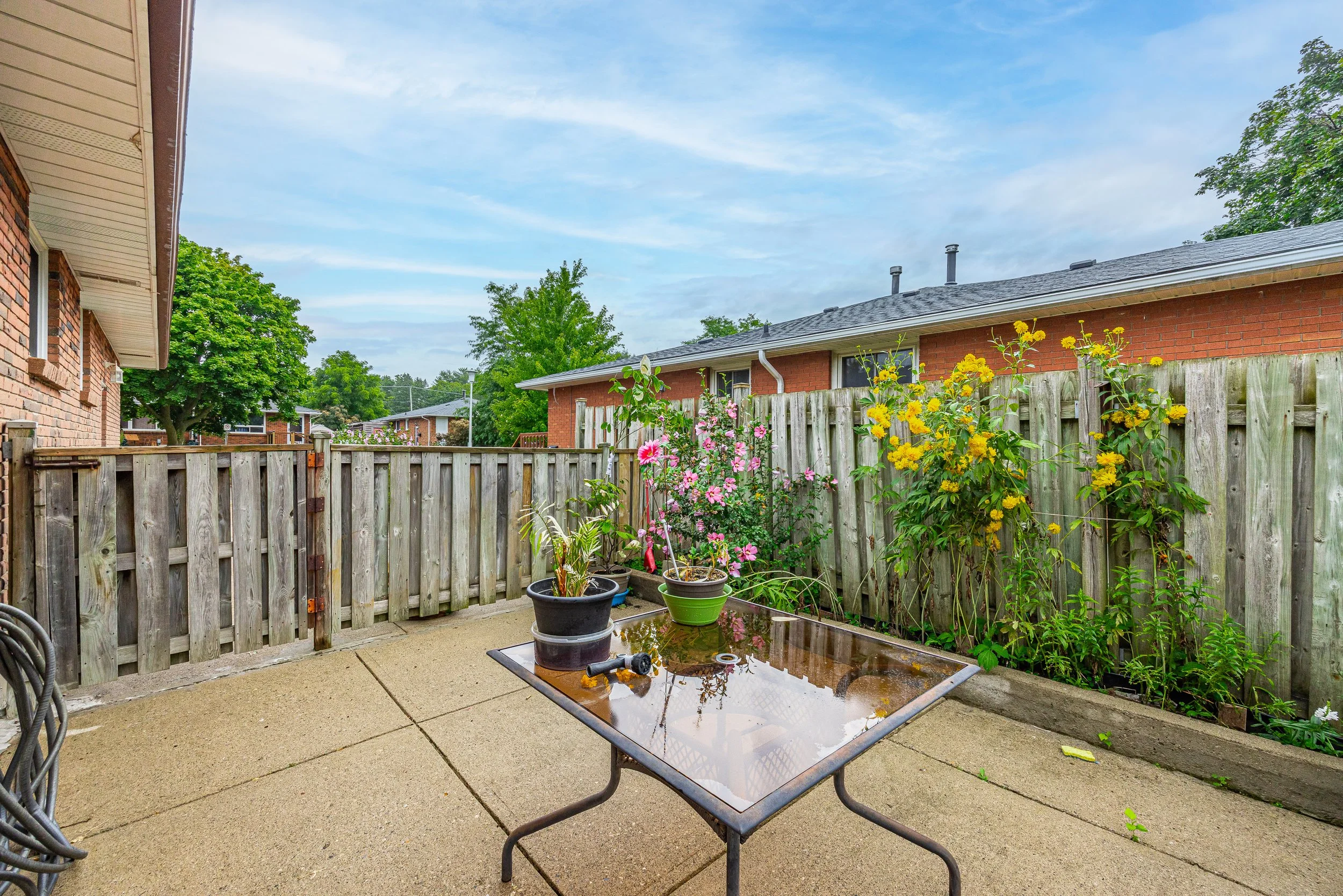 25 Noel Ave -38.jpg
