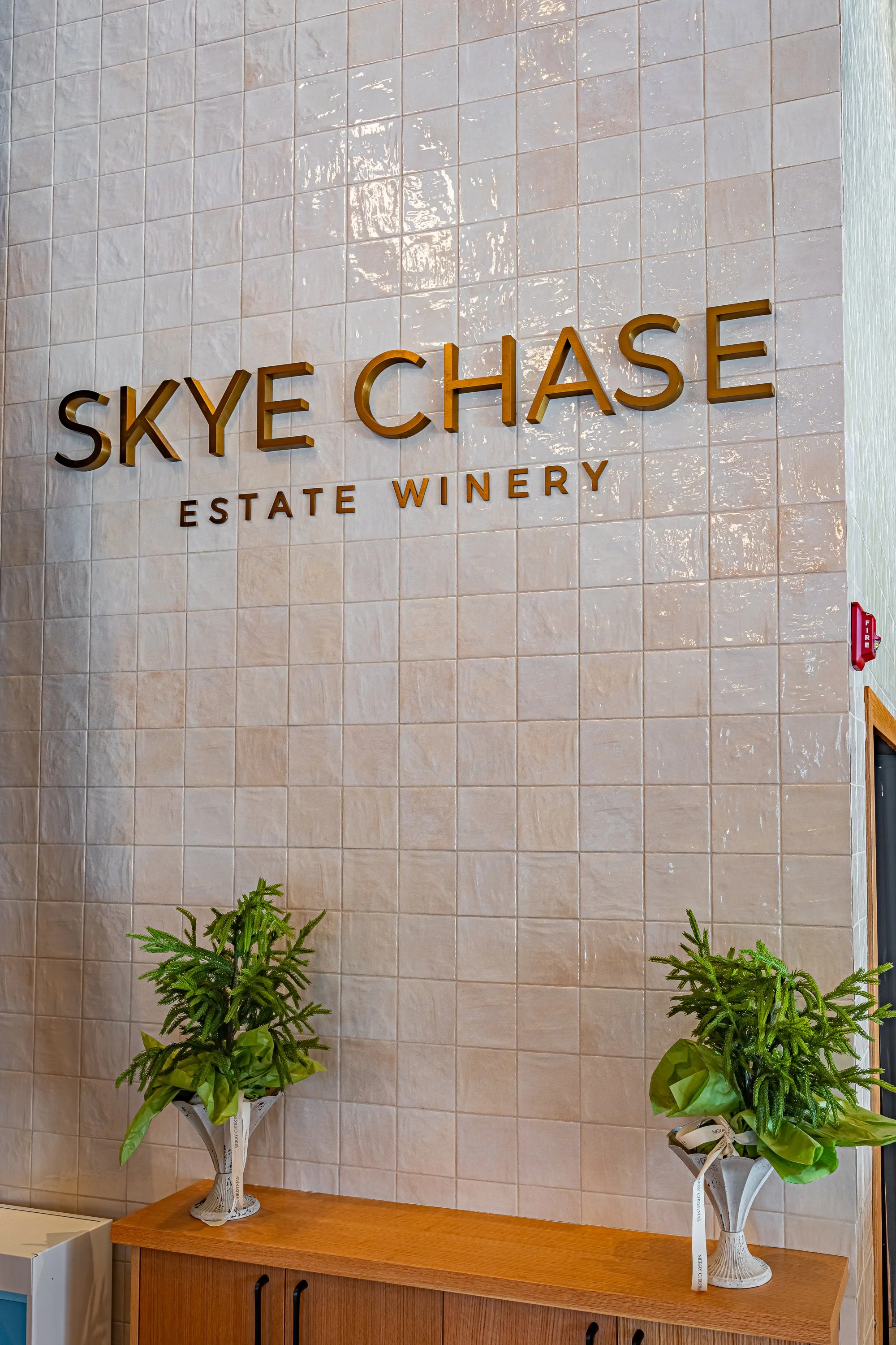 LR - Sky Chase Production Day 12.17.25-15.jpg