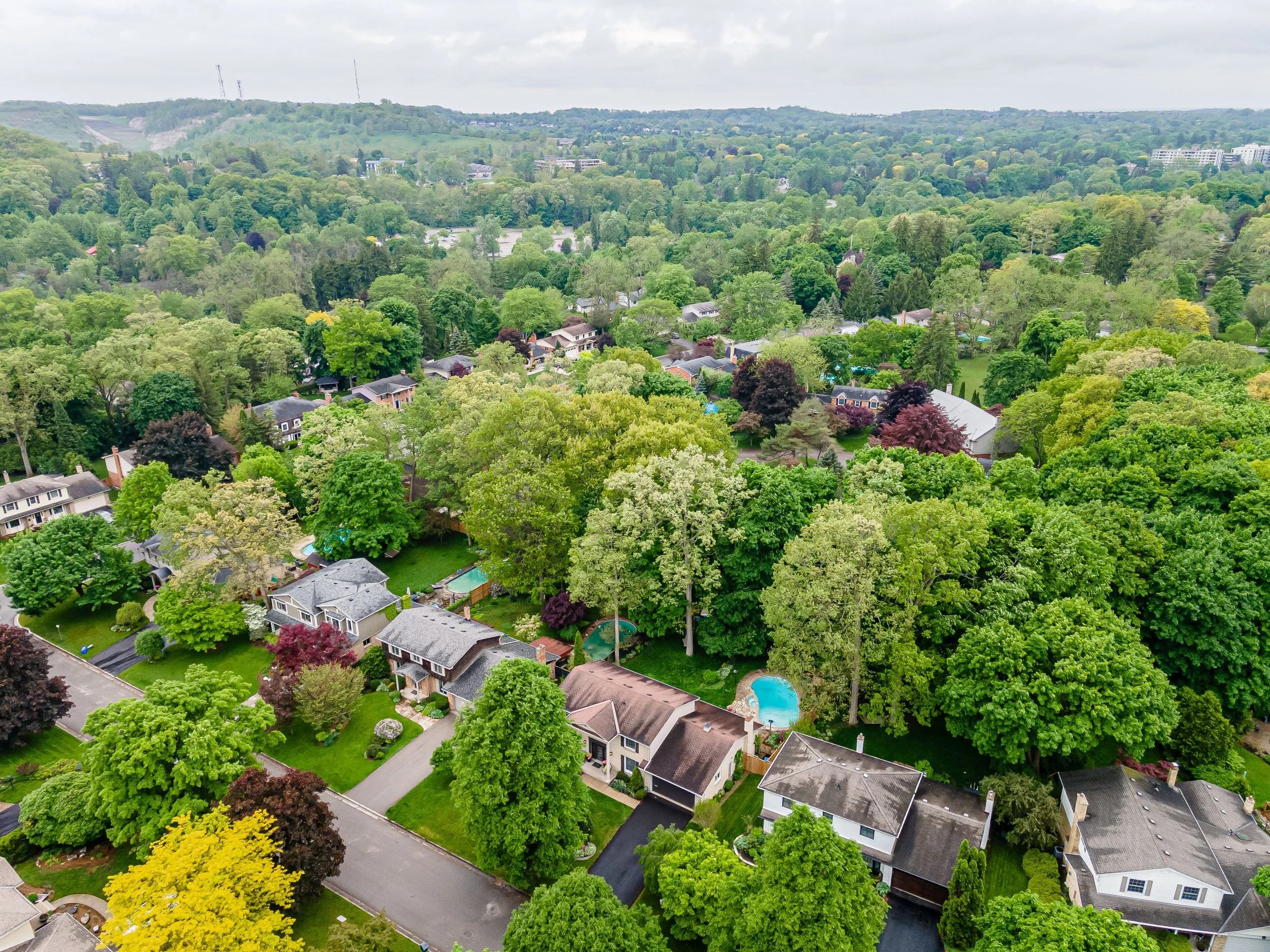 62 Hampton Cres-46.jpg