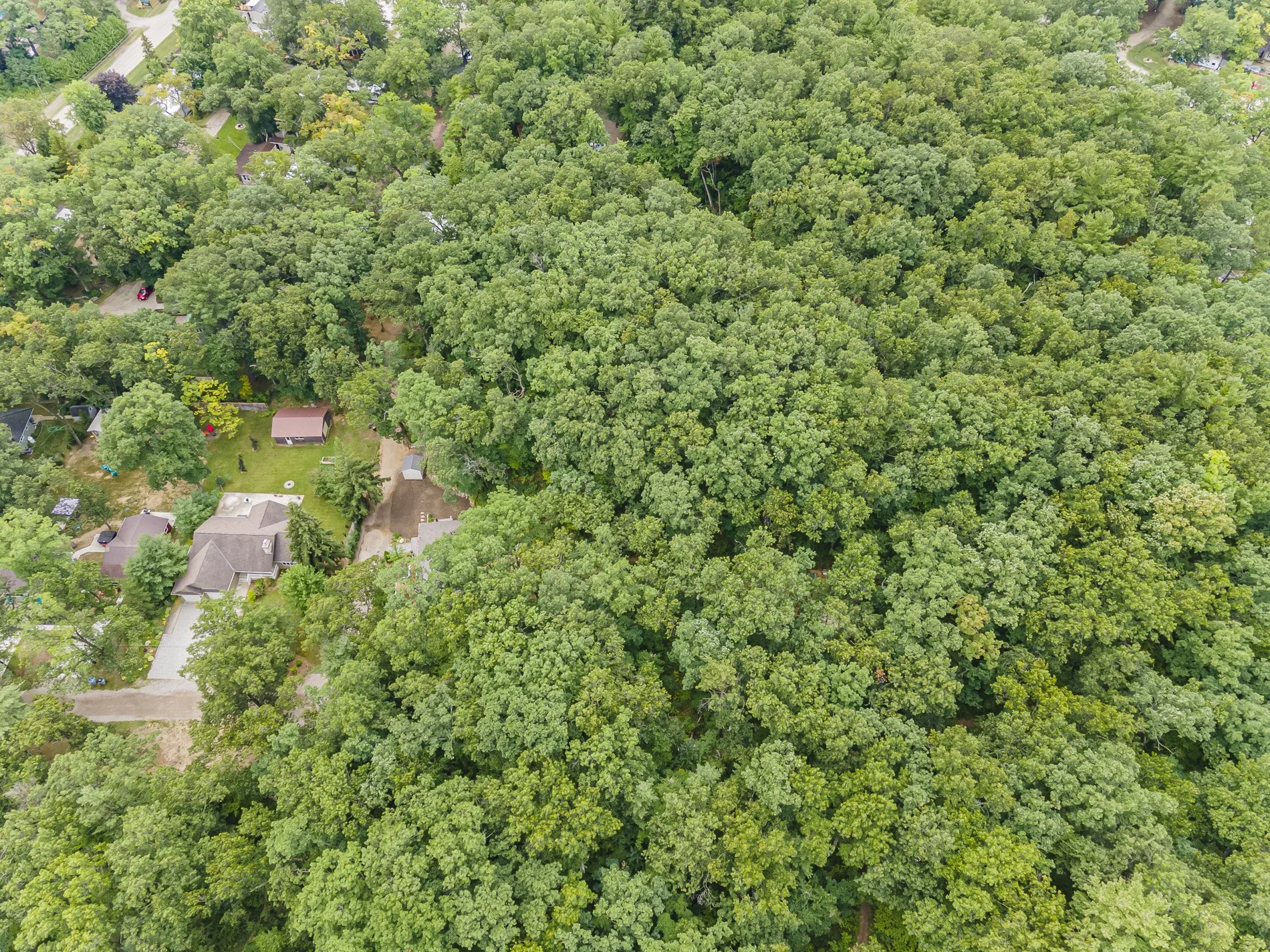 9962 Northville Cres_30.jpg