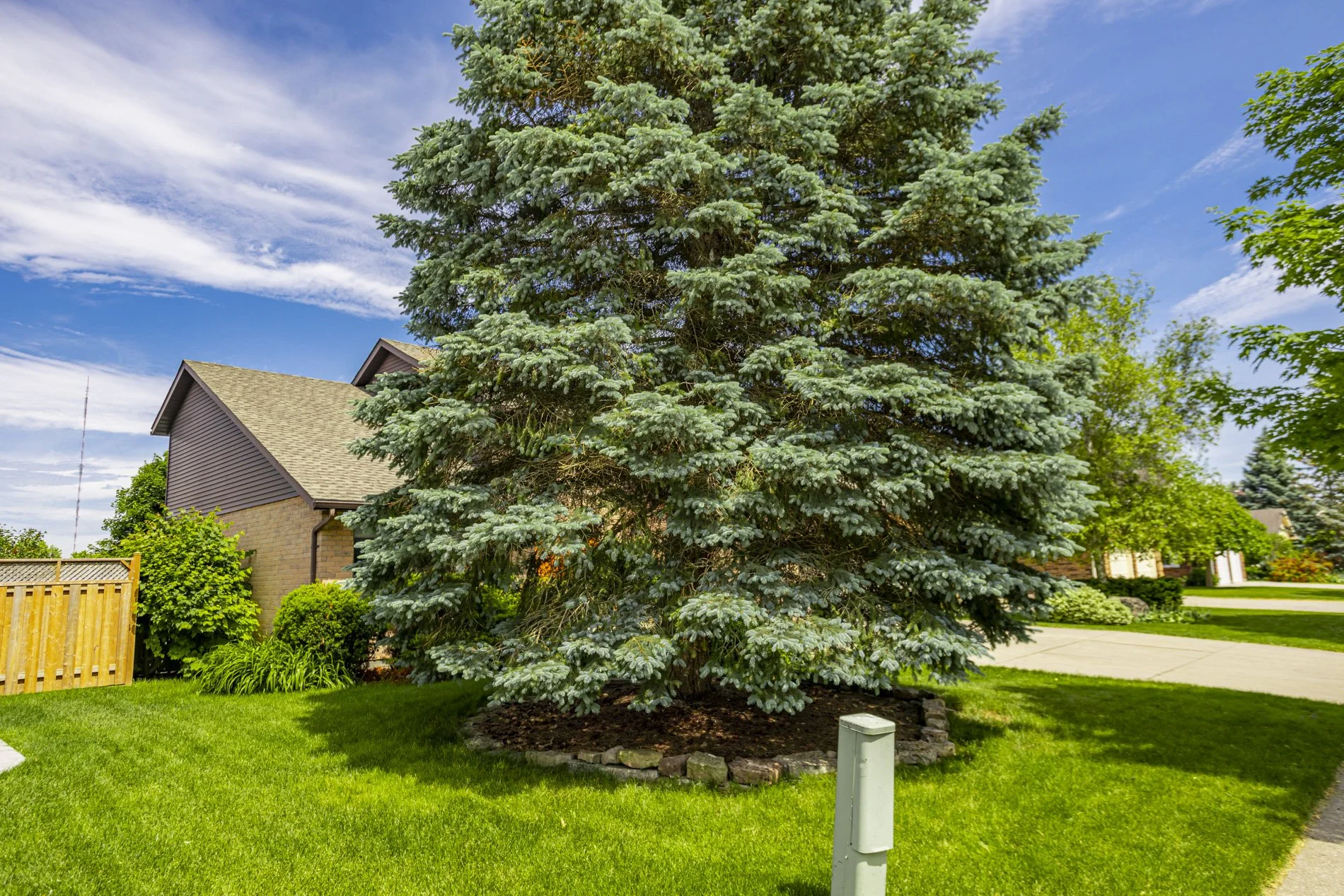 70 Thumnderbird Cres_04.JPG