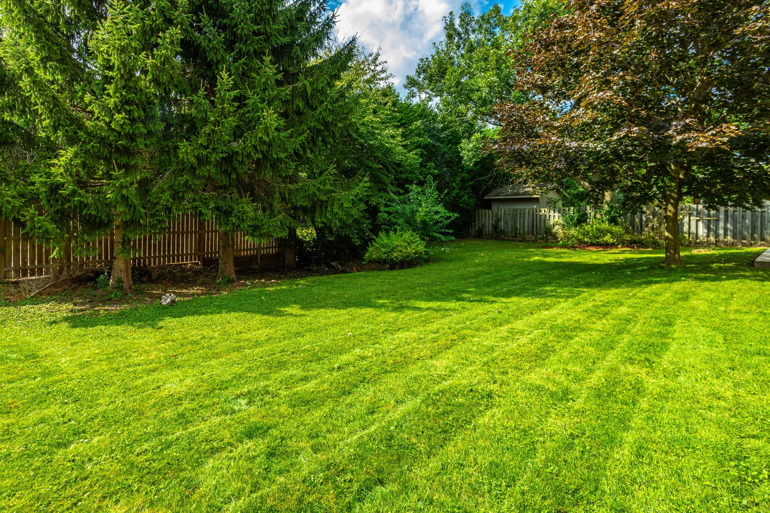 62 Andover Dr-43.jpg