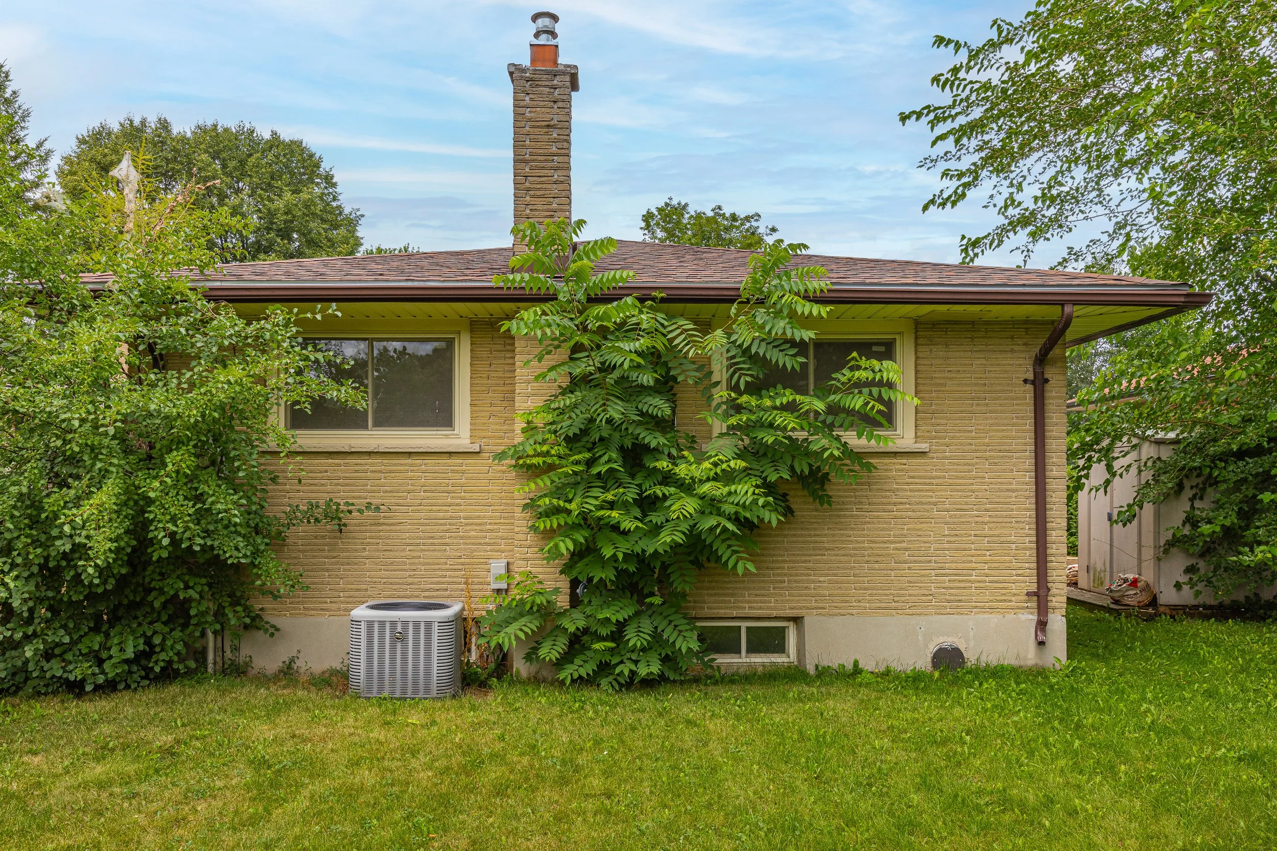 9 Buchan Rd -45.jpg