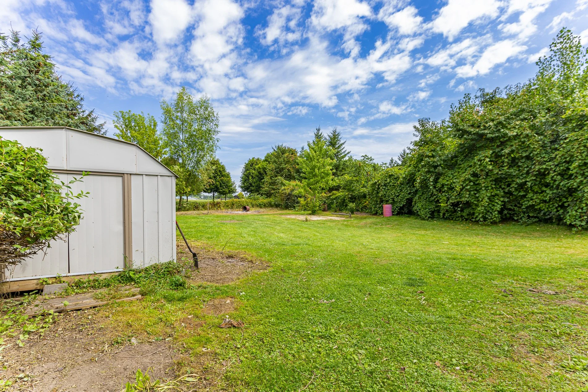 324097 Mount Elgin_29.jpg