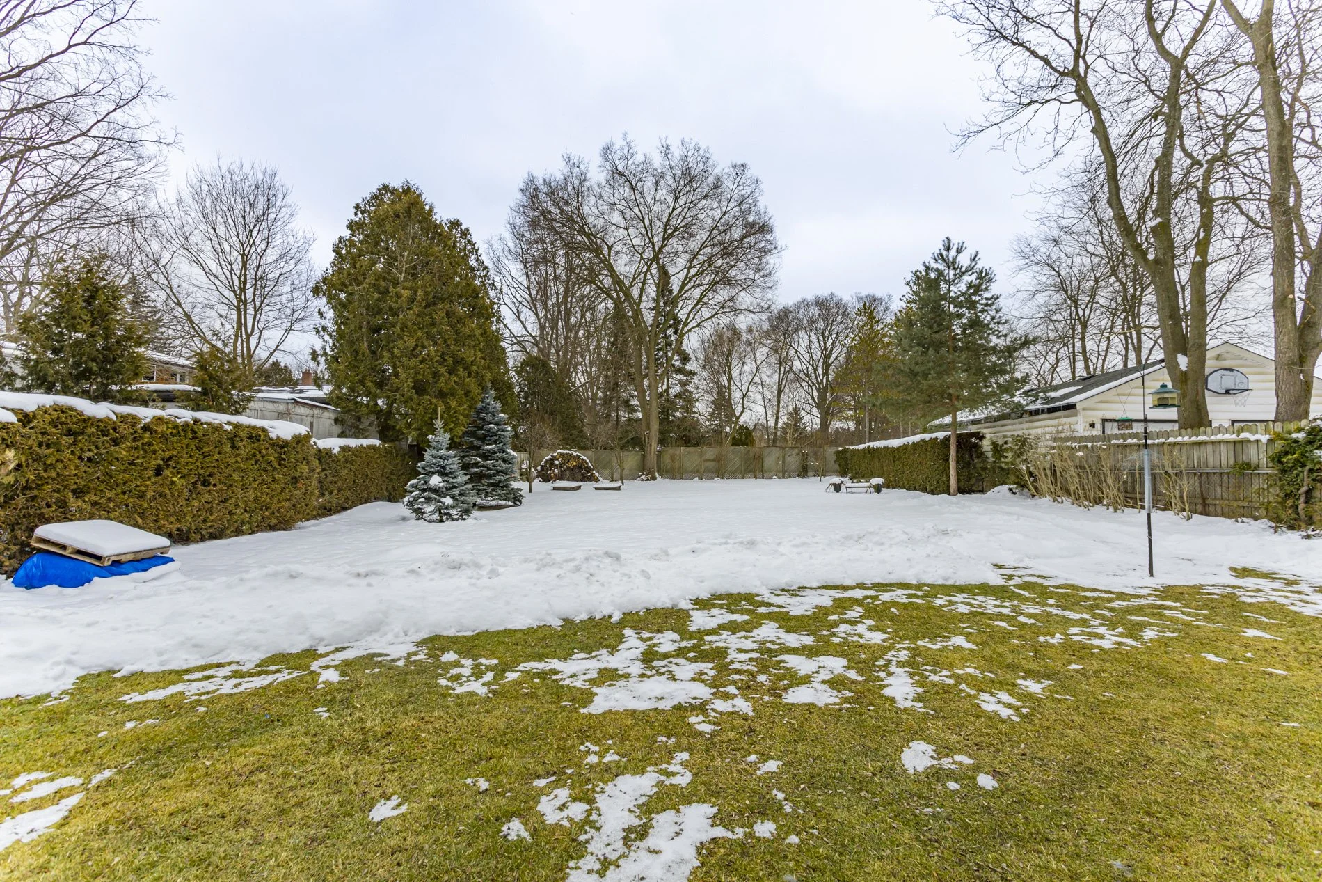 160 Springbank_09.jpg