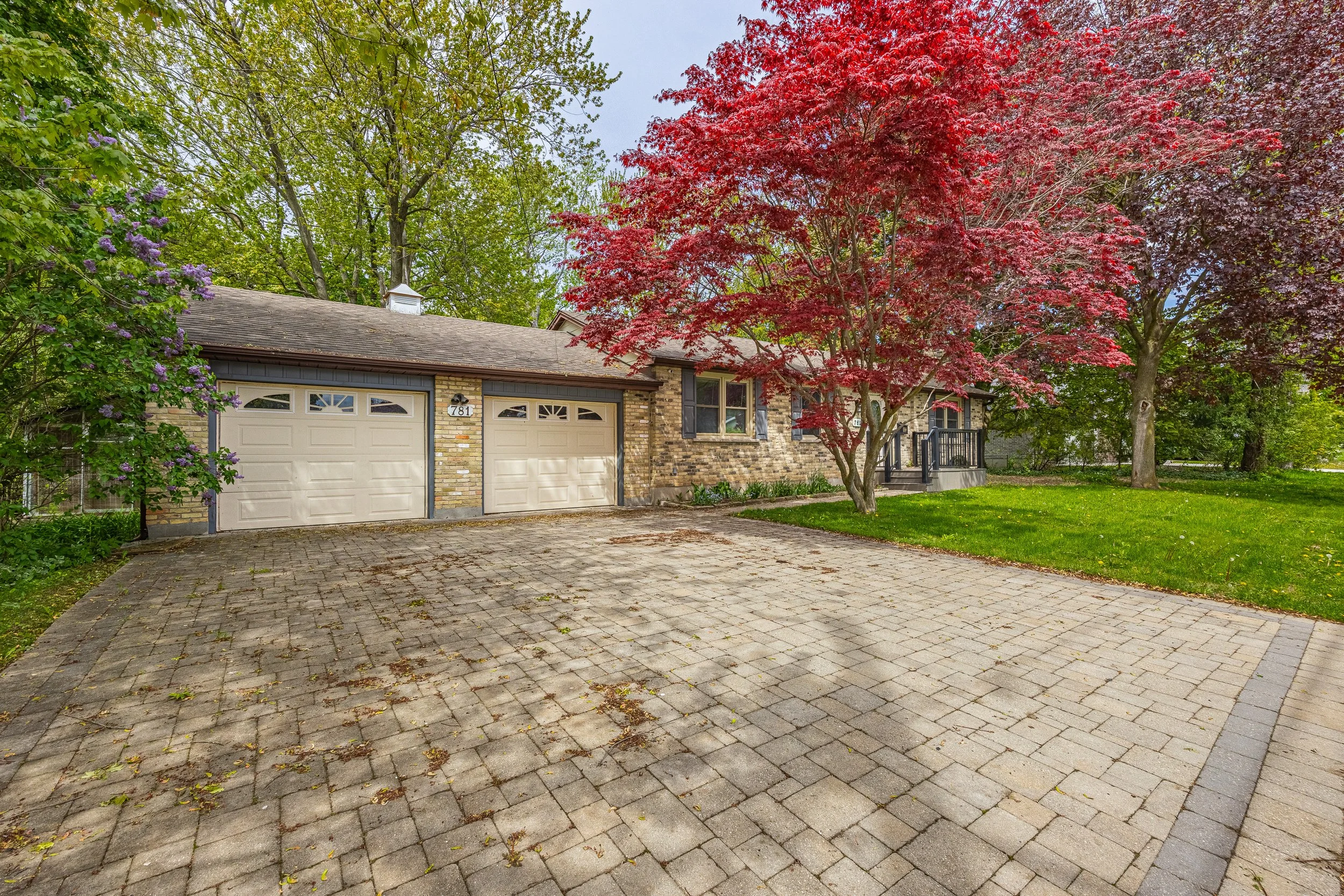781 Verulam St-3.jpg