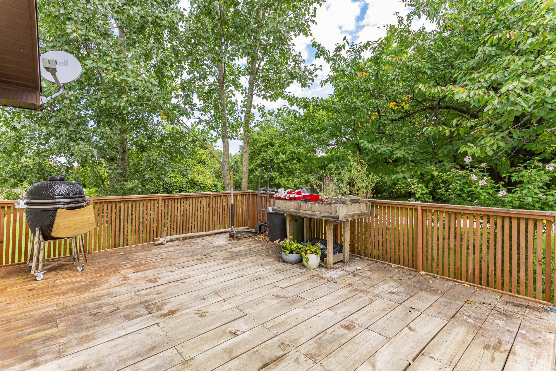 324097 Mount Elgin_25.jpg
