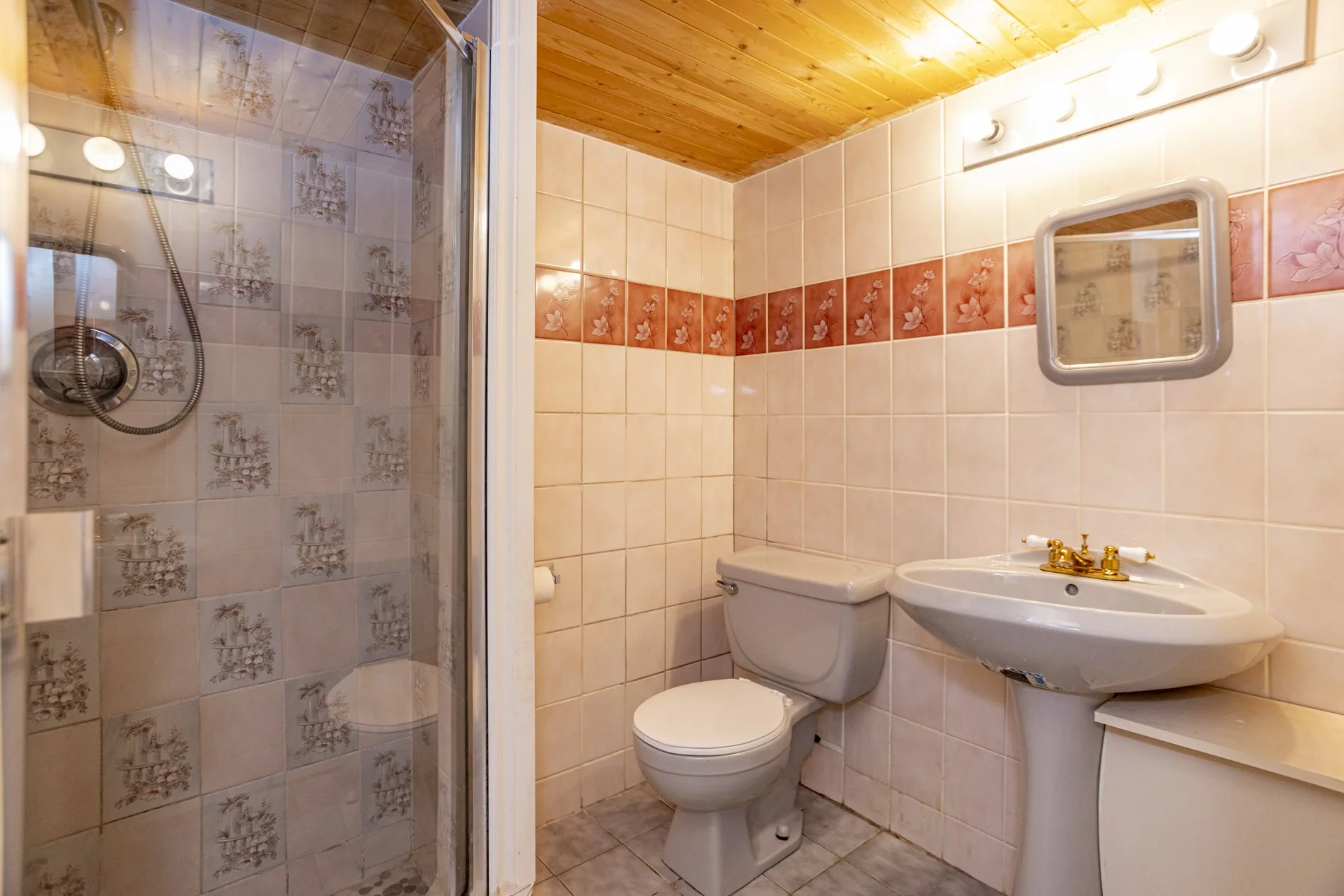 70 Thumnderbird Cres_37.JPG