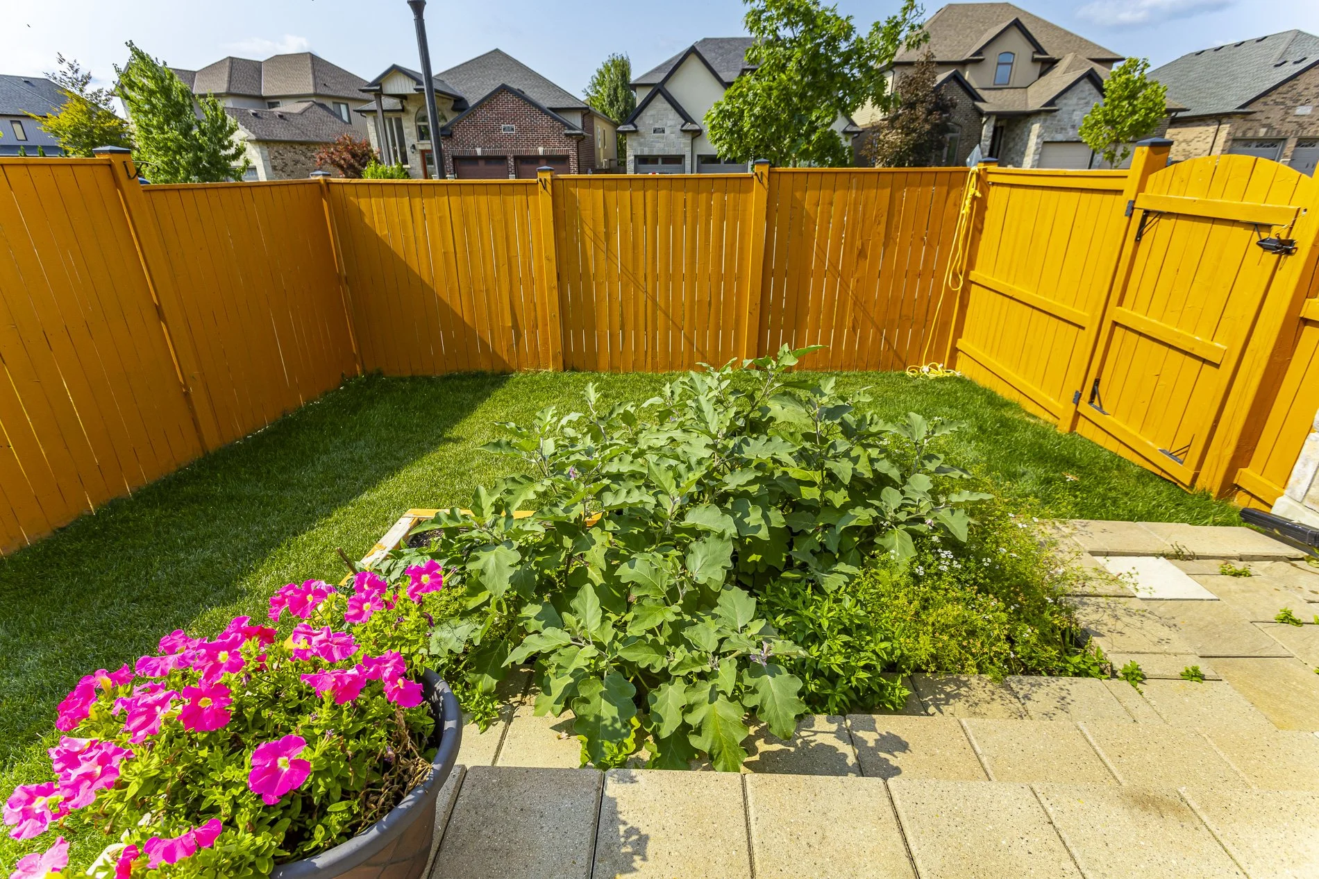 6645 Upper Canada Crossing_52.jpg