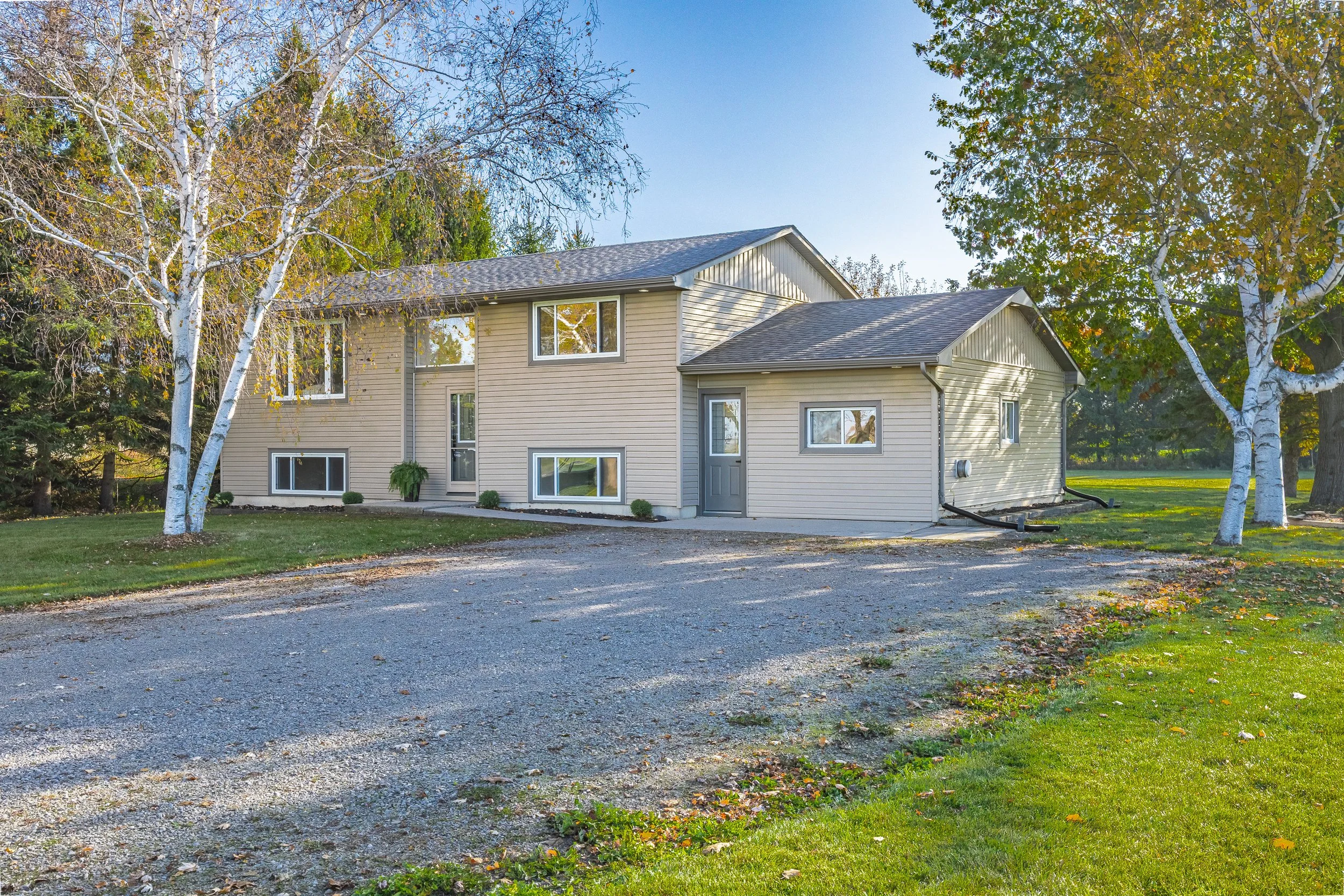 70986 B Line -02.jpg