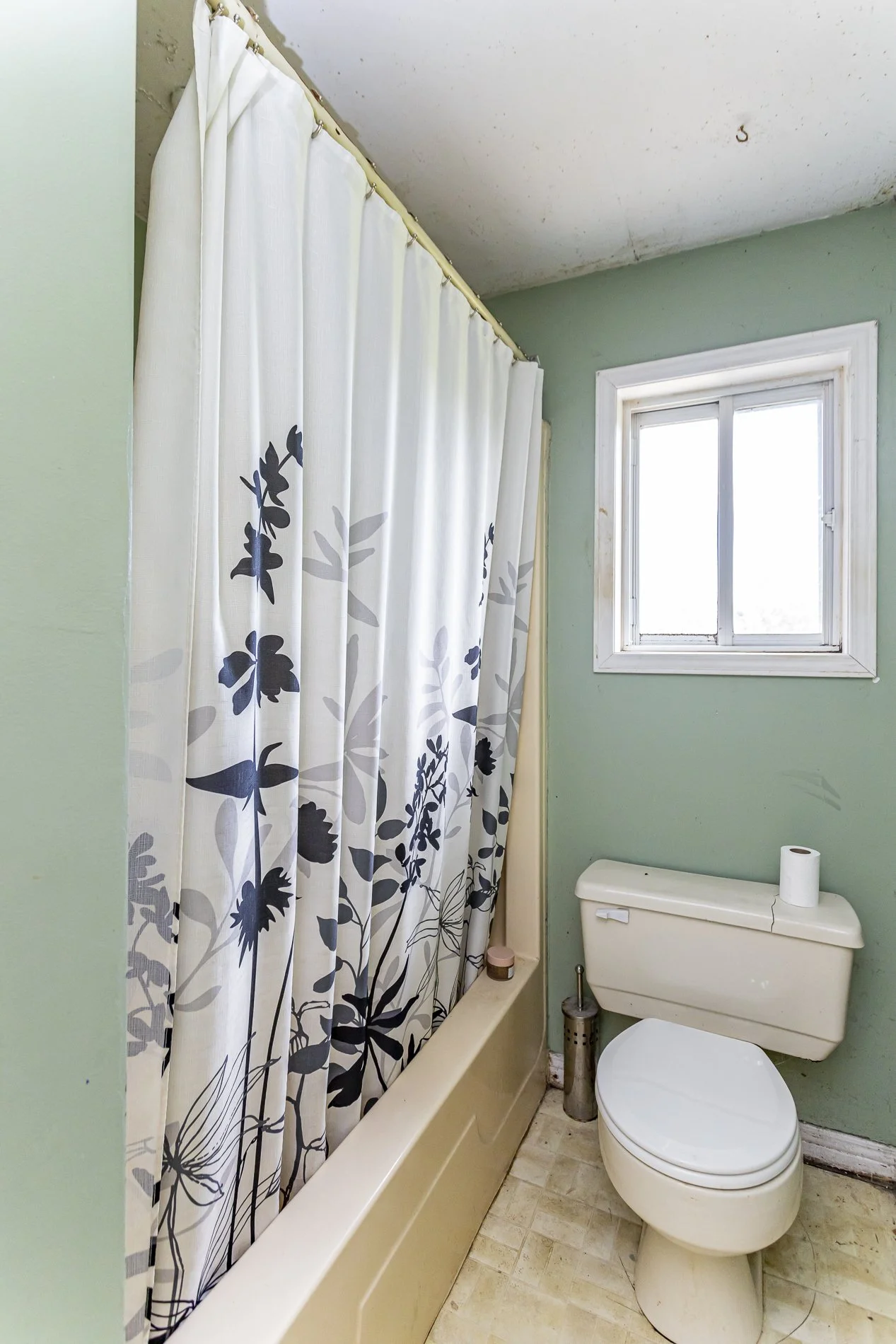 324097 Mount Elgin_13.jpg