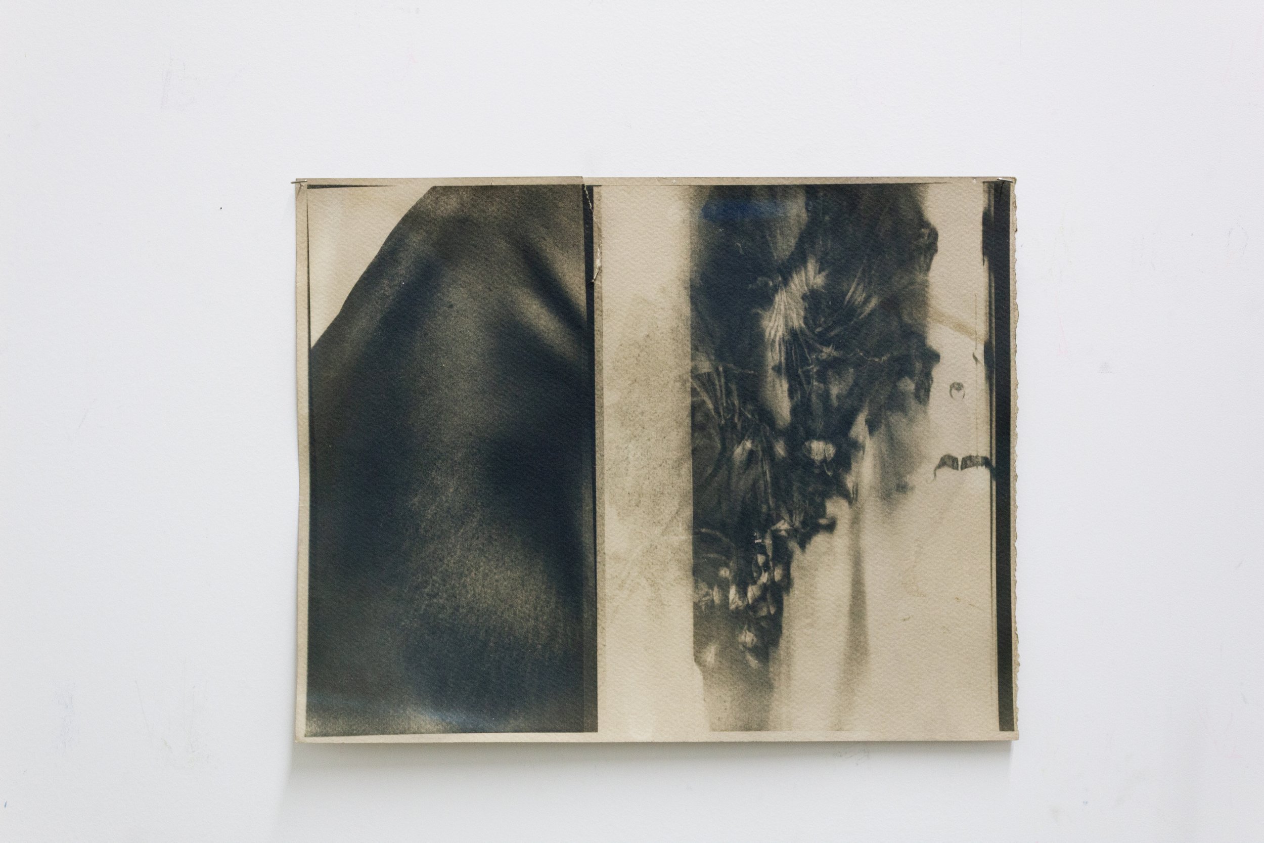 Ari Brielle, Bridge_v1, 2026, Cyanotype and tea on  paper,  14h x 11w inches
