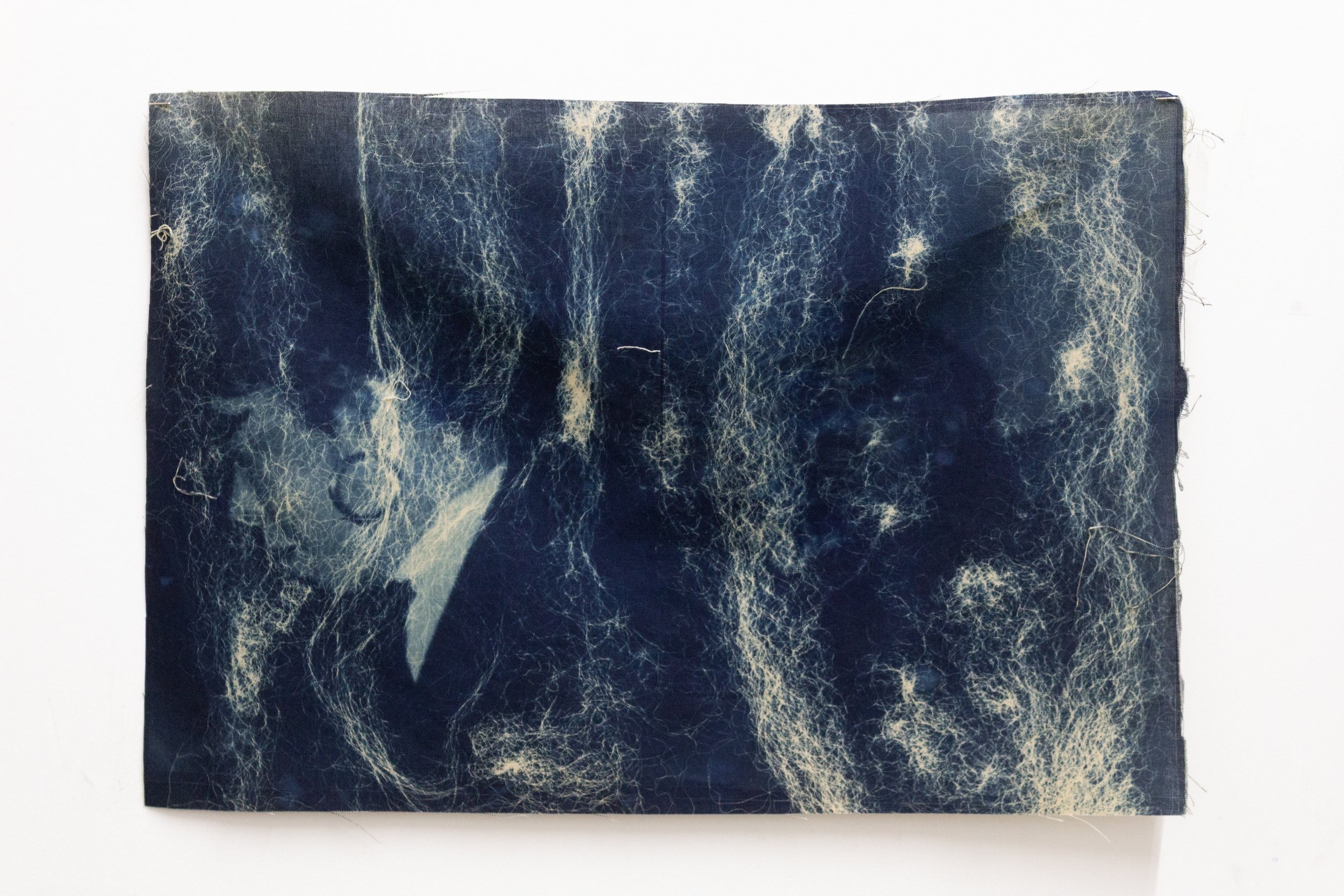 Ari Brielle, Untitled, 2026, Cyanotype and coffee on cotton