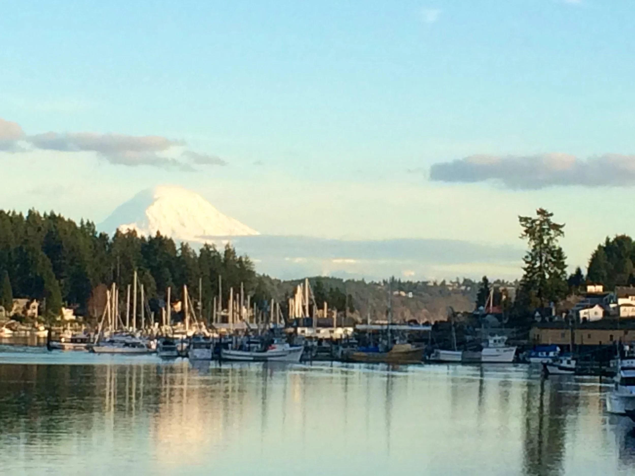 The Power of Presence: Regulating Our Nervous System Outdoors