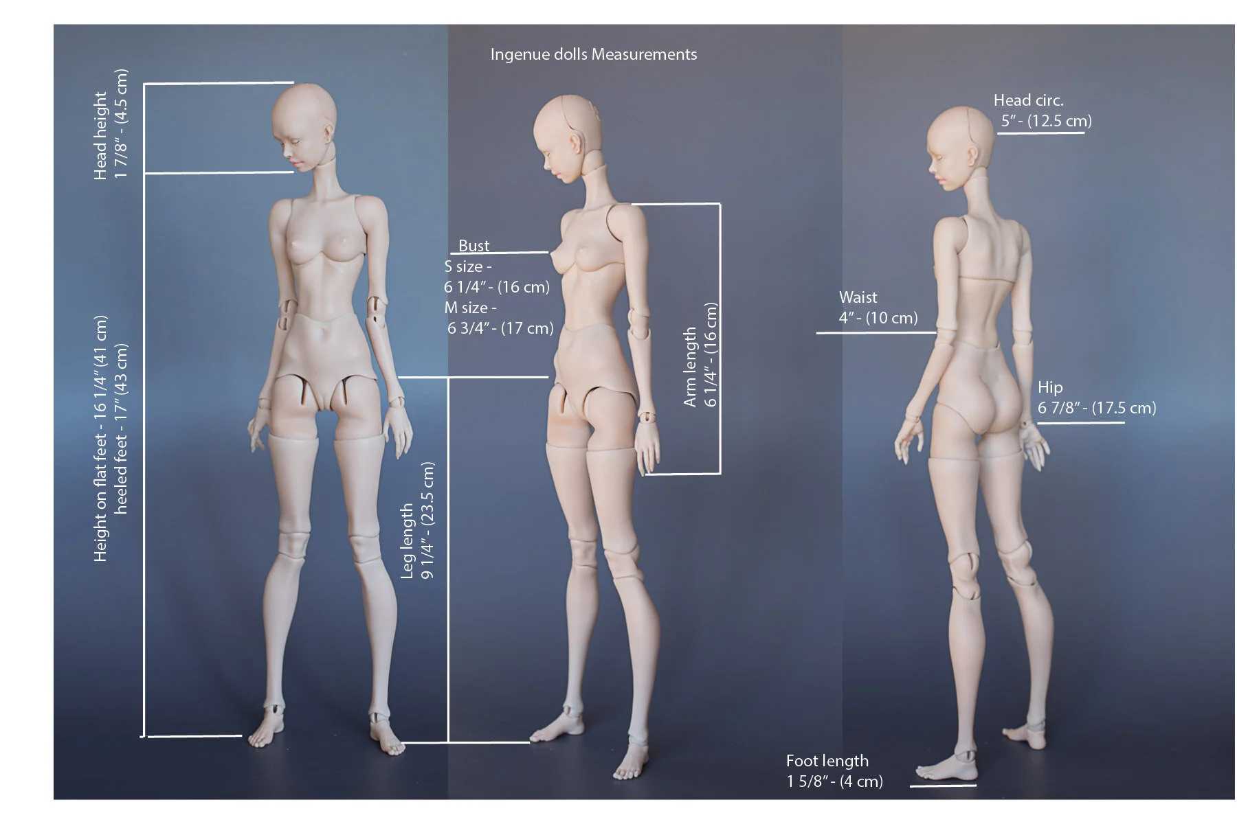measurements.jpg