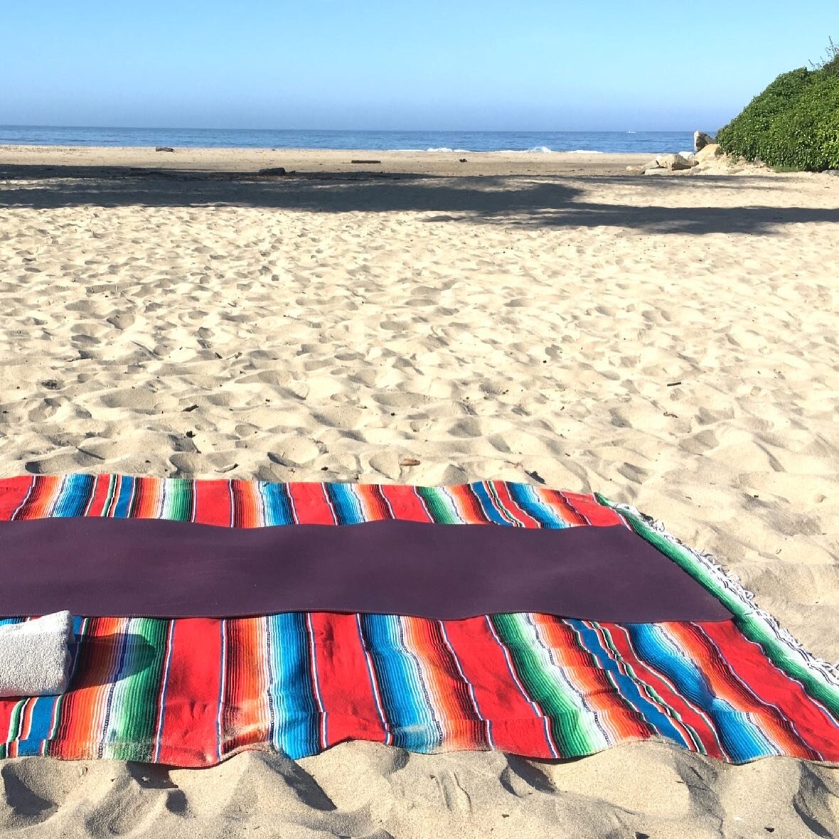 Good morning Santa Cruz!  What lessons will arrive on your mat today? This being human is a guest house every morning a new arrival ... Be grateful for whoever comes, because each has been sent as a guide from beyond. -Rumi #outdooryogasantacruz #rum
