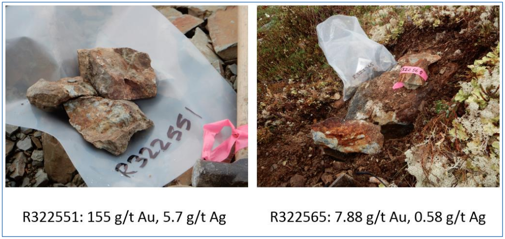 Figures 3, 4. Golden Culvert Mineralized Quartz and Quartz Breccia Surface Float Samples Referenced in this Press Release.
