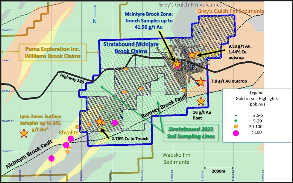 Figure 1. McIntyre Brook 2021 Soil Geochemistry Program (*Includes public data sourced from Puma Exploration Inc. website and SEDAR)