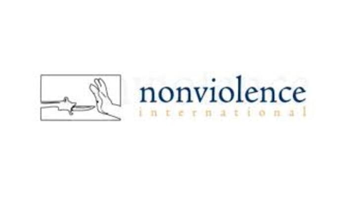 NVI logo.jpeg