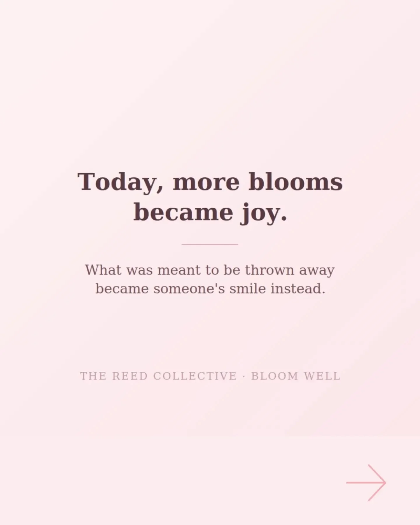 This is what one &ldquo;yes&rdquo; can grow into. 🌸

Sandy from Floraco said yes.
Teri from Jessons said yes.

And today, there were all these hands &mdash; trimming, arranging, sharing and laughing. Taking blooms that still had something to give an