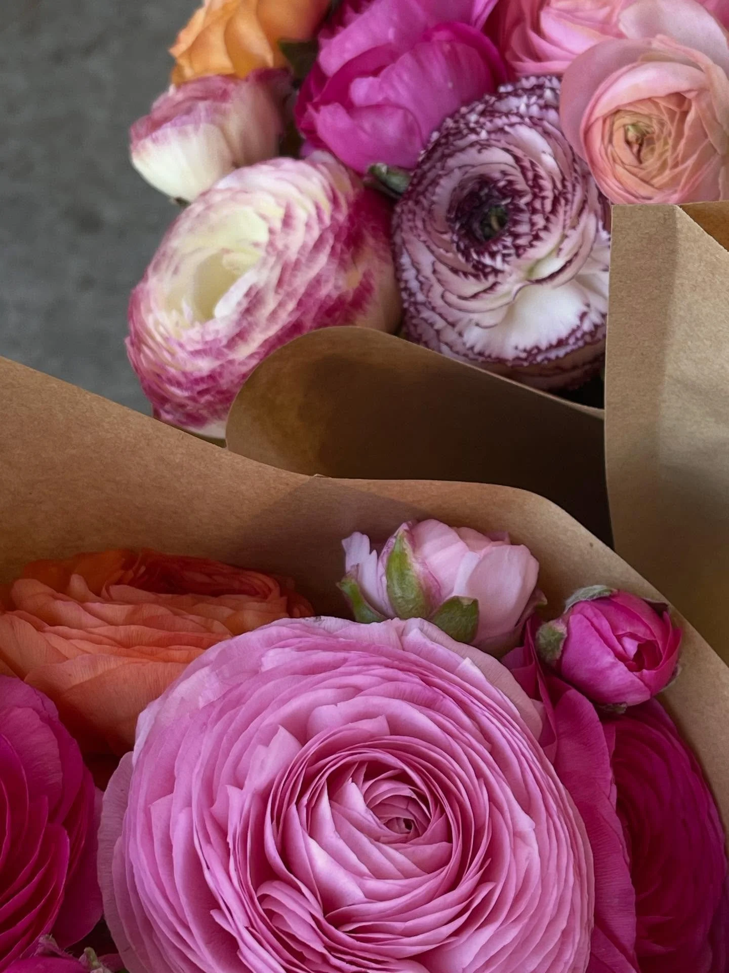 The flower cart is out with our market bunches. PLUS some vegi seedlings!

Cash, card or afterpay via our website.  link in bio

We are located on Longwood road just past the Heathfield Netball Club/high school and the old Heathfield Motors.

#heathf