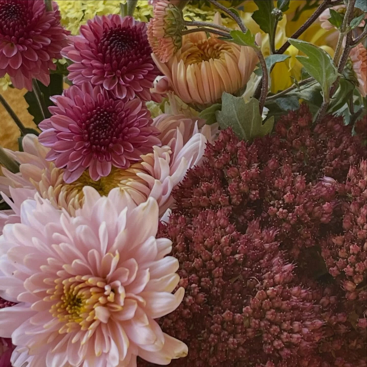 The flower cart is out with our market bunches.

Cash, card, Apple Pay and afterpay via our website.  link in bio

We are located on Longwood road just past the Heathfield Netball Club/high school and the old Heathfield Motors.

#heathfieldflowers #a