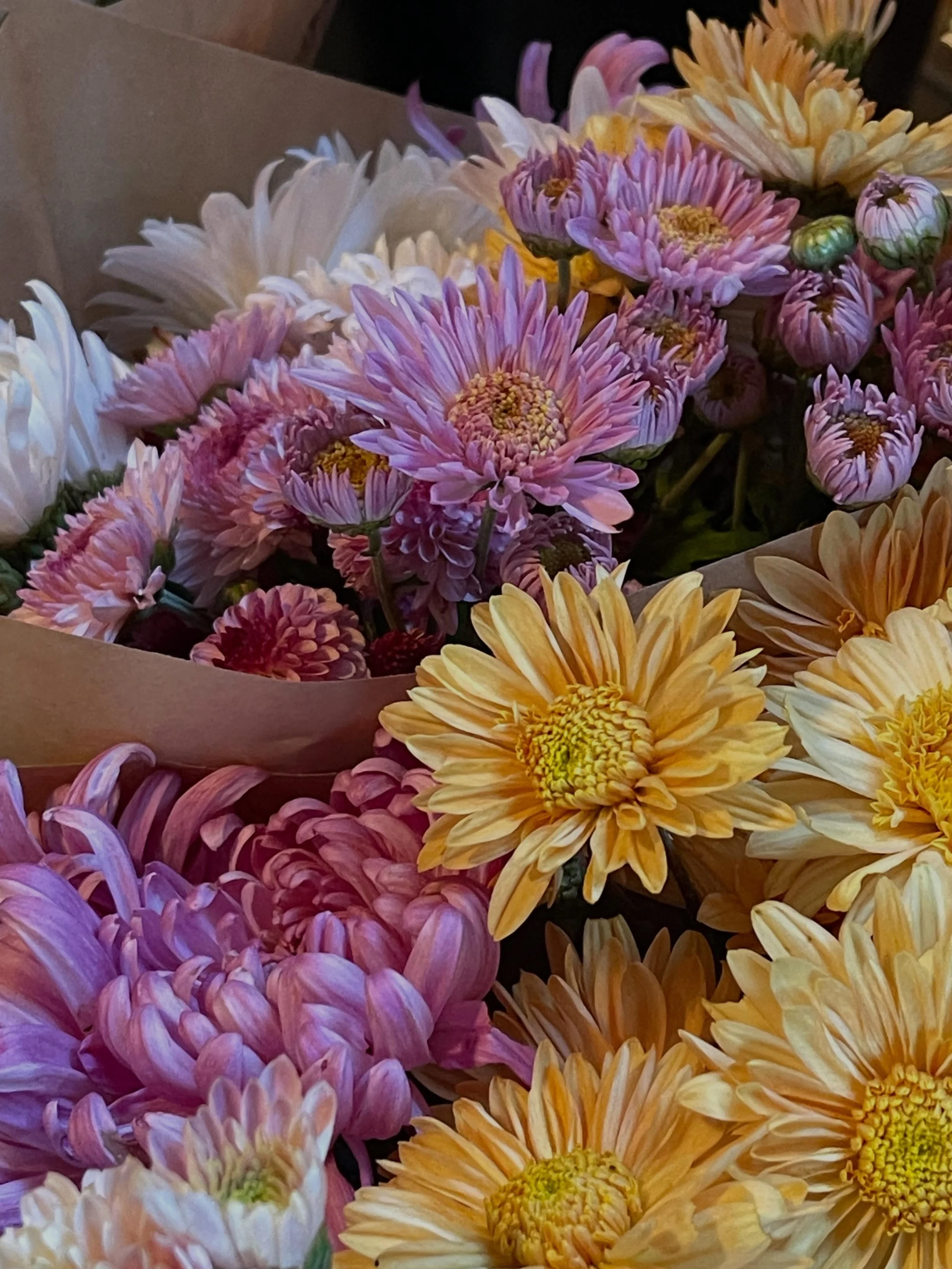 MOTHERS DAY - the road side stall will be open from tomorrow until Sunday (unless sold out) with our stunning Mother&rsquo;s Day bunches.

Cash, card, Apple Pay and afterpay via our website.  link in bio

We are located on Longwood road just past the