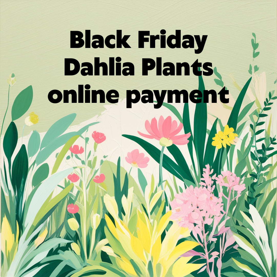 Black Friday Tile dahlia plants.png