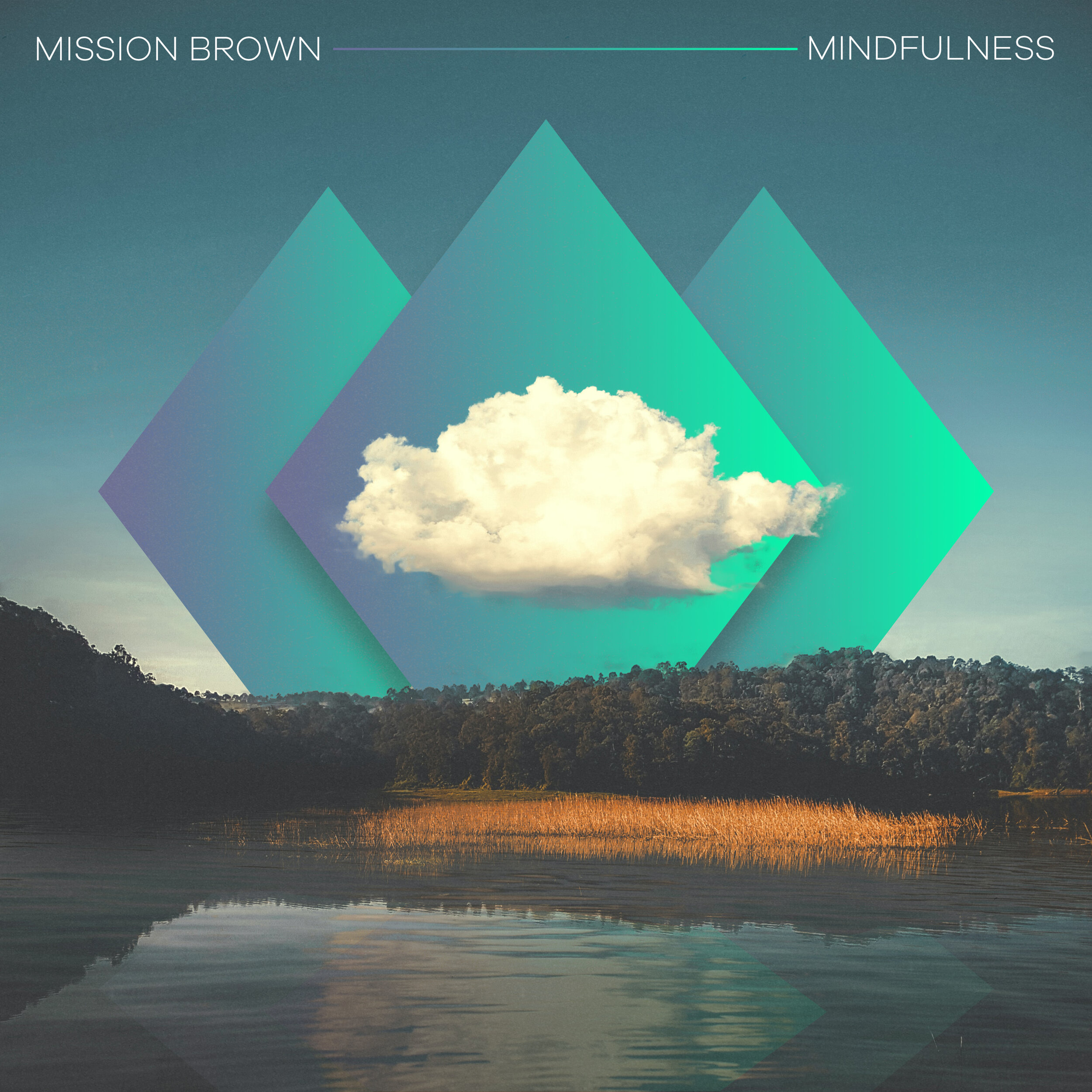 Mission Brown - Mindfulness Artwork (1).jpg